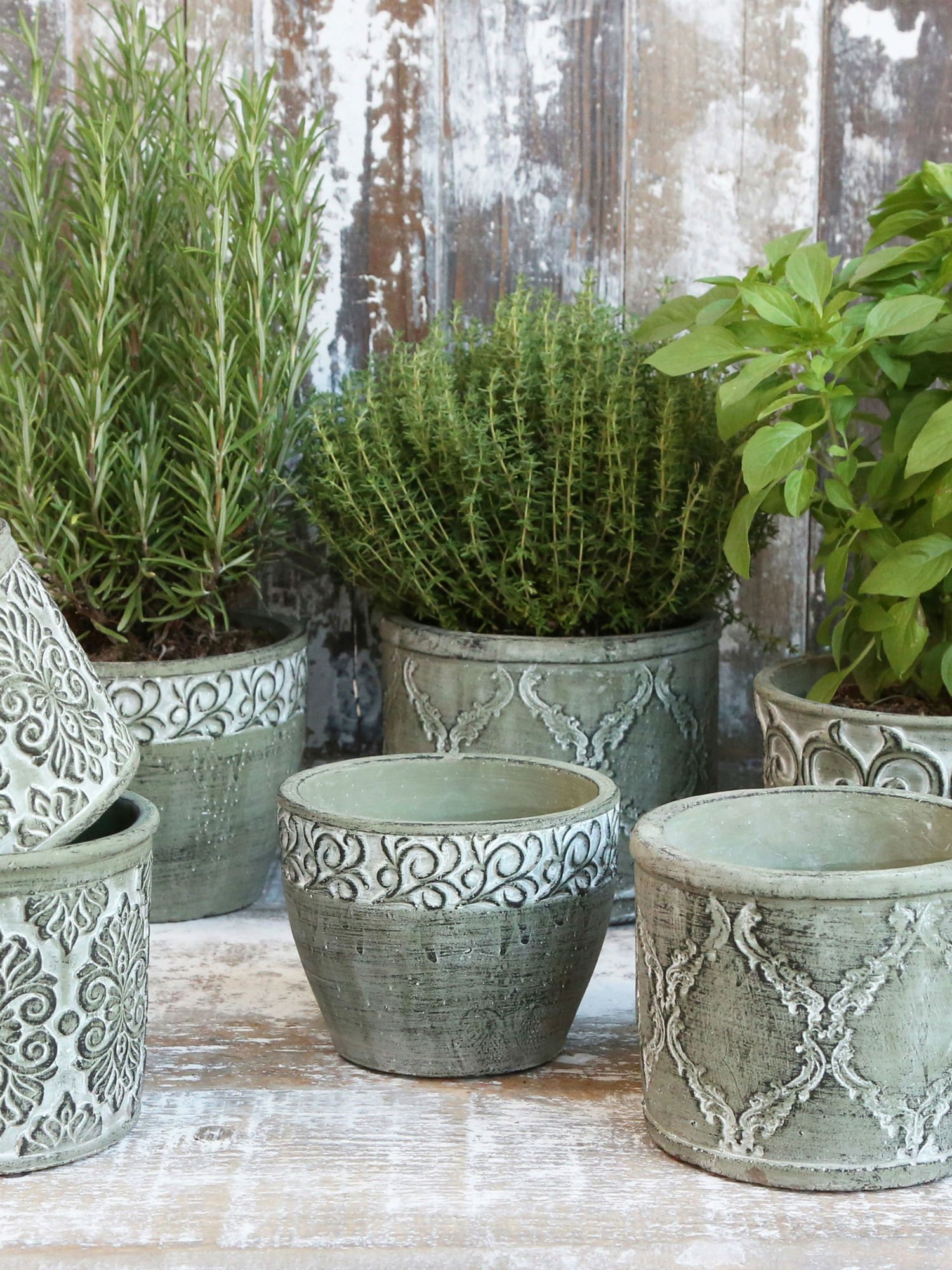 Chic Antique Töpfe und Pflanzkübel für den Garten