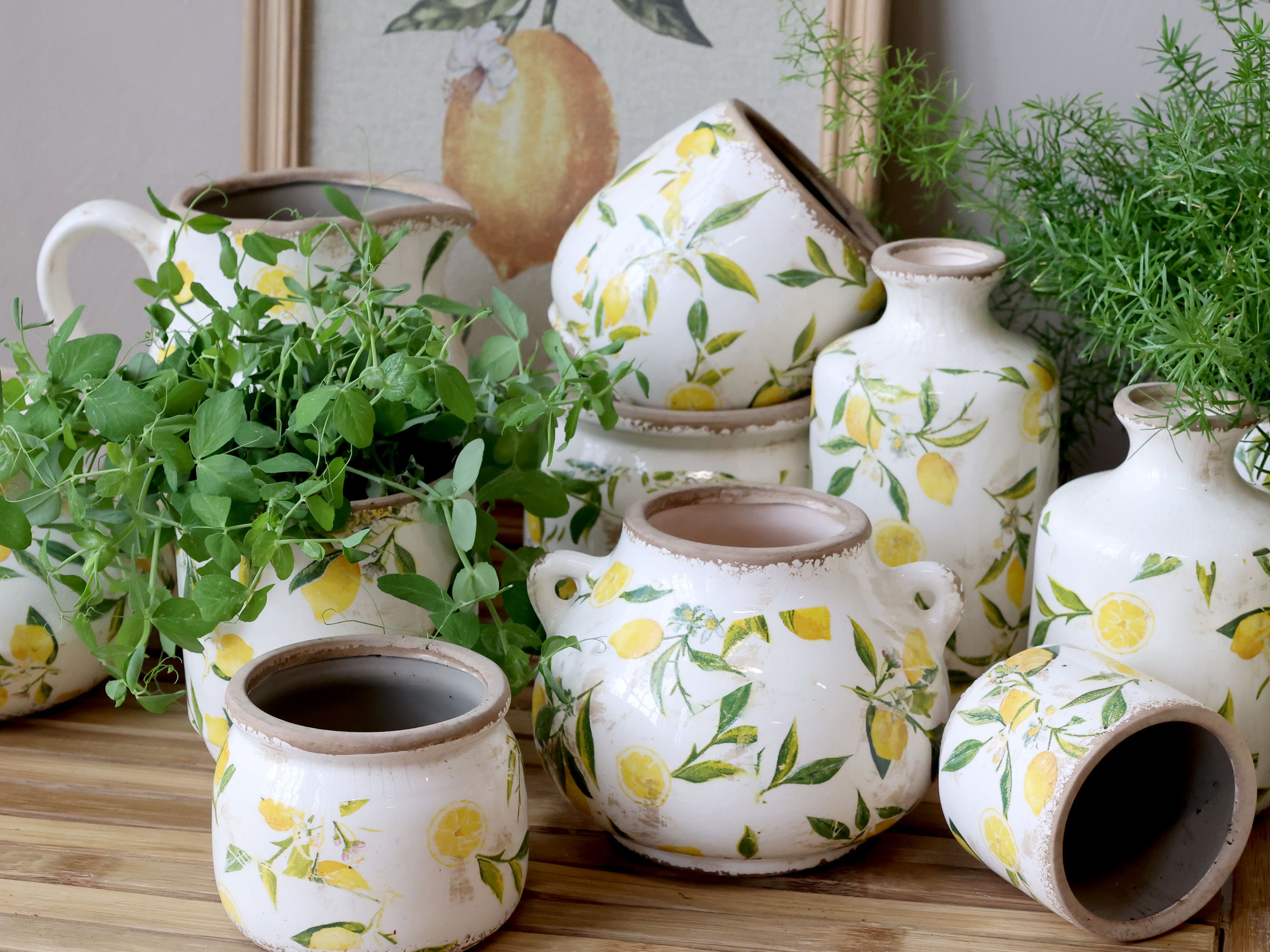 Chic Antique Limone Blumentöpfe und Kannen aus Keramik