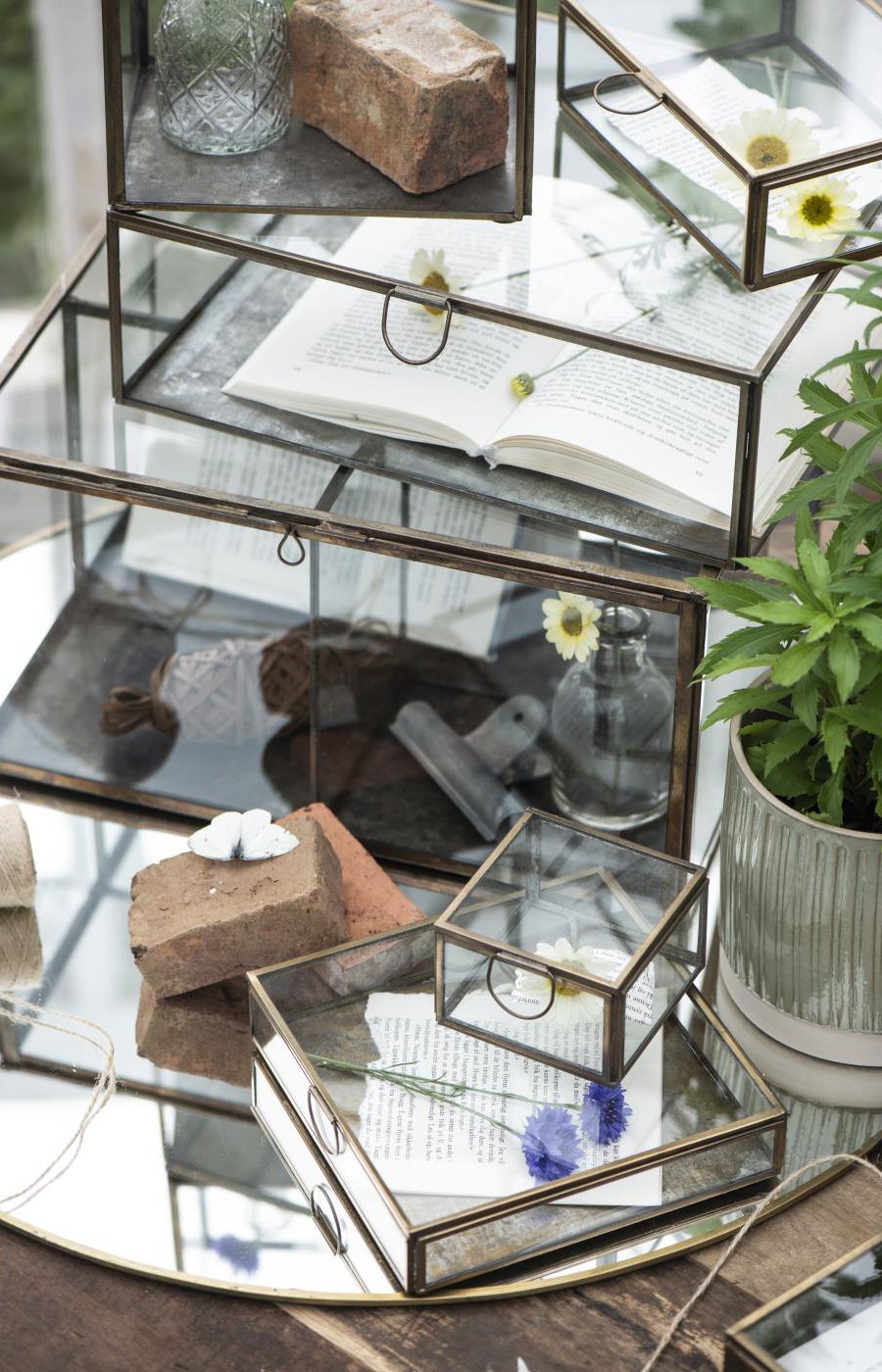 Glasboxen und Glaskisten