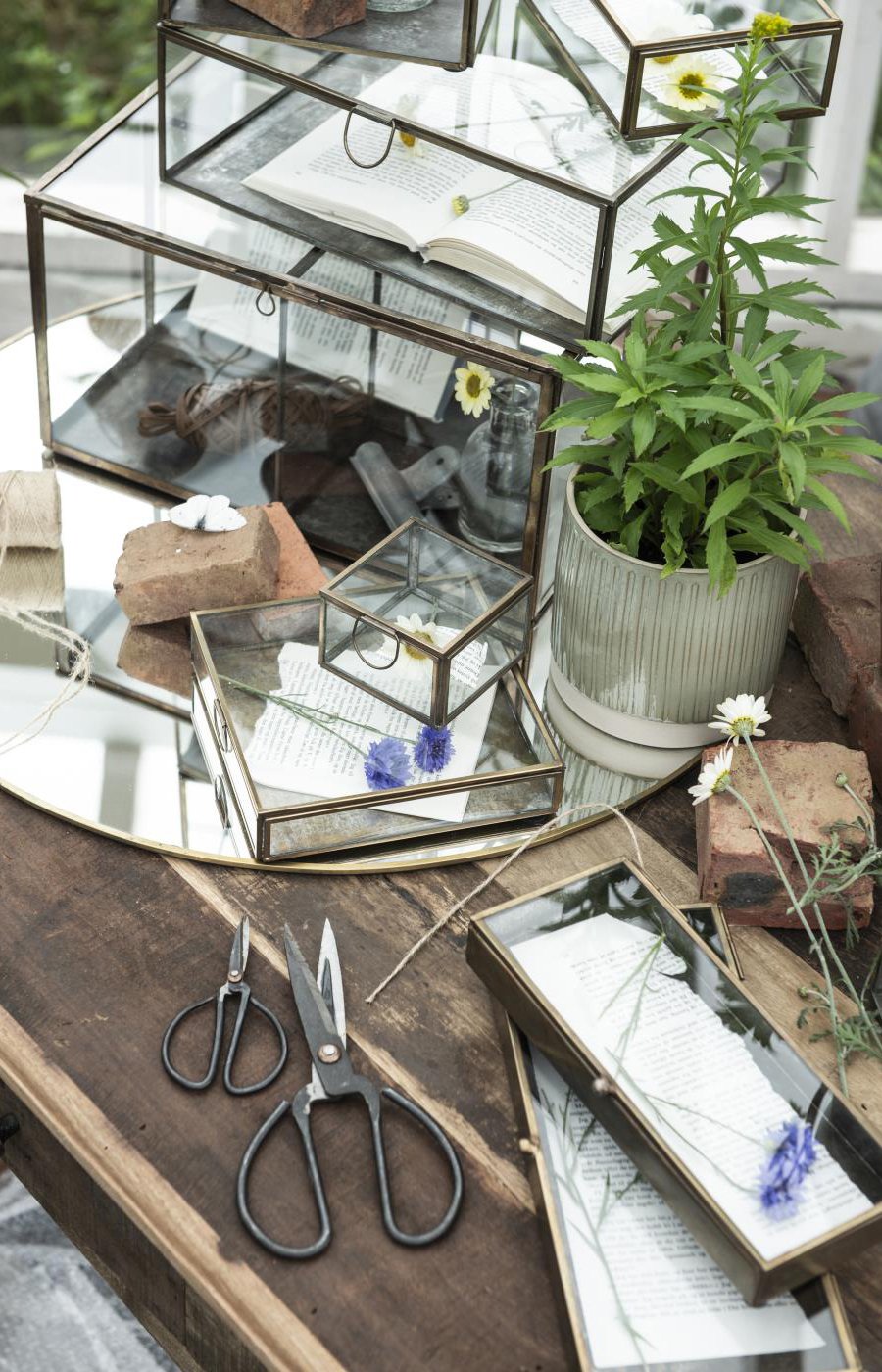 Glasboxen und Glaskisten