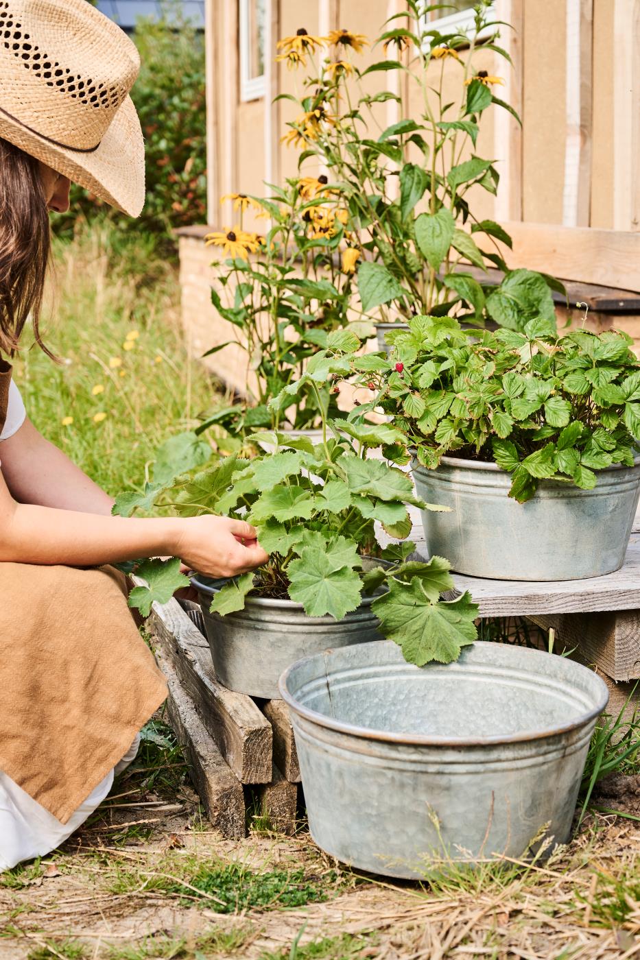 IB Laursen Urban Garden Pflanztöpfe und Pflanzkübel
