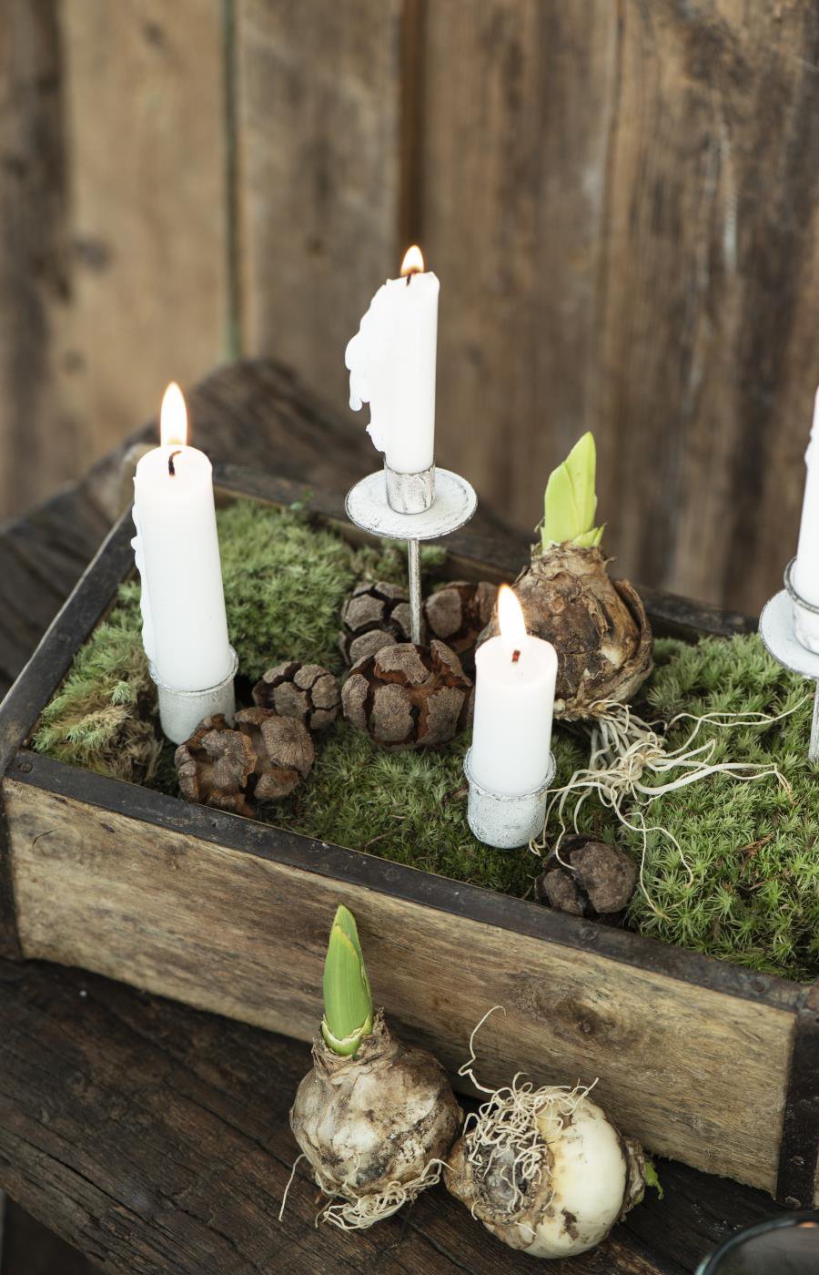 Kerzenständer & Kerzenhalter