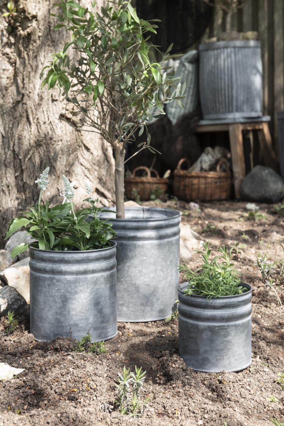 Garten Töpfe, Pflanztöpfe und Pflanzgefäße