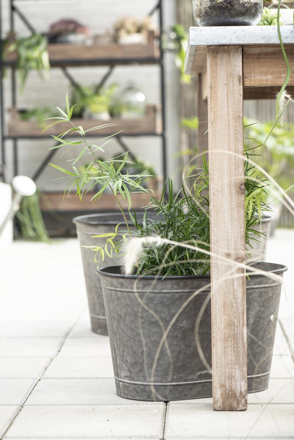Garten Töpfe, Pflanztöpfe und Pflanzgefäße