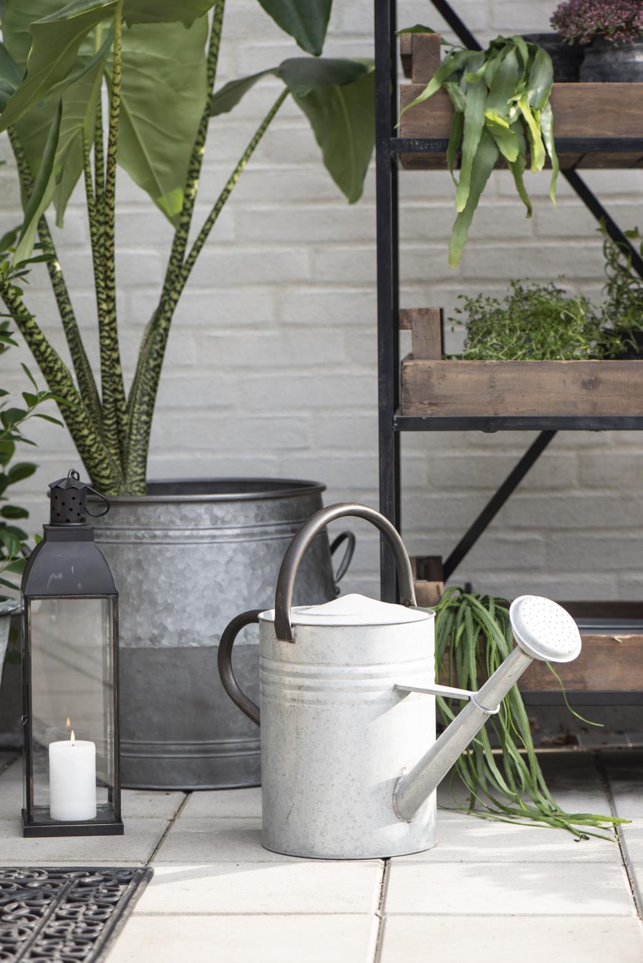 Schöne Gießkannen für den Garten