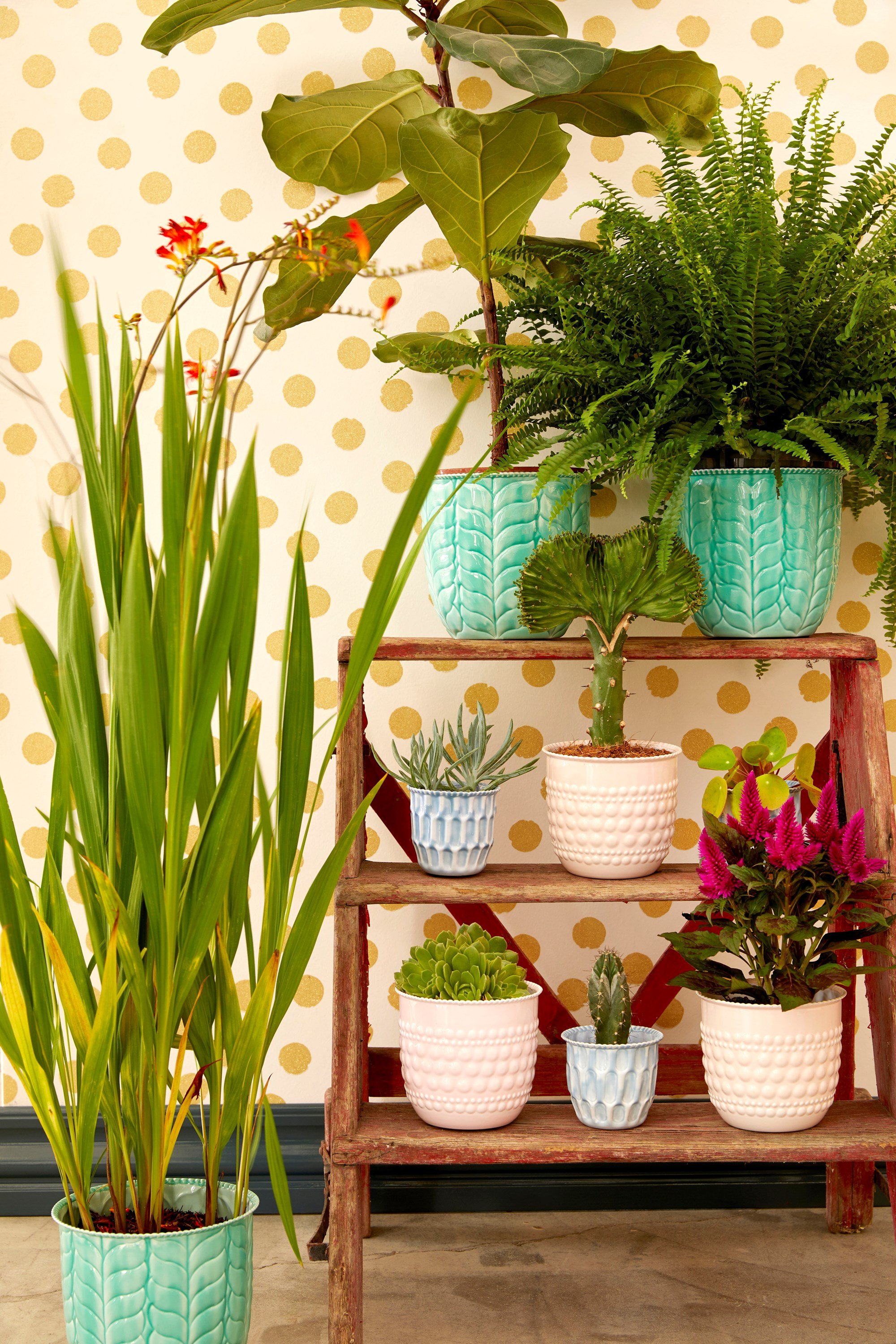 RICE Deko & Wohnaccessoires
