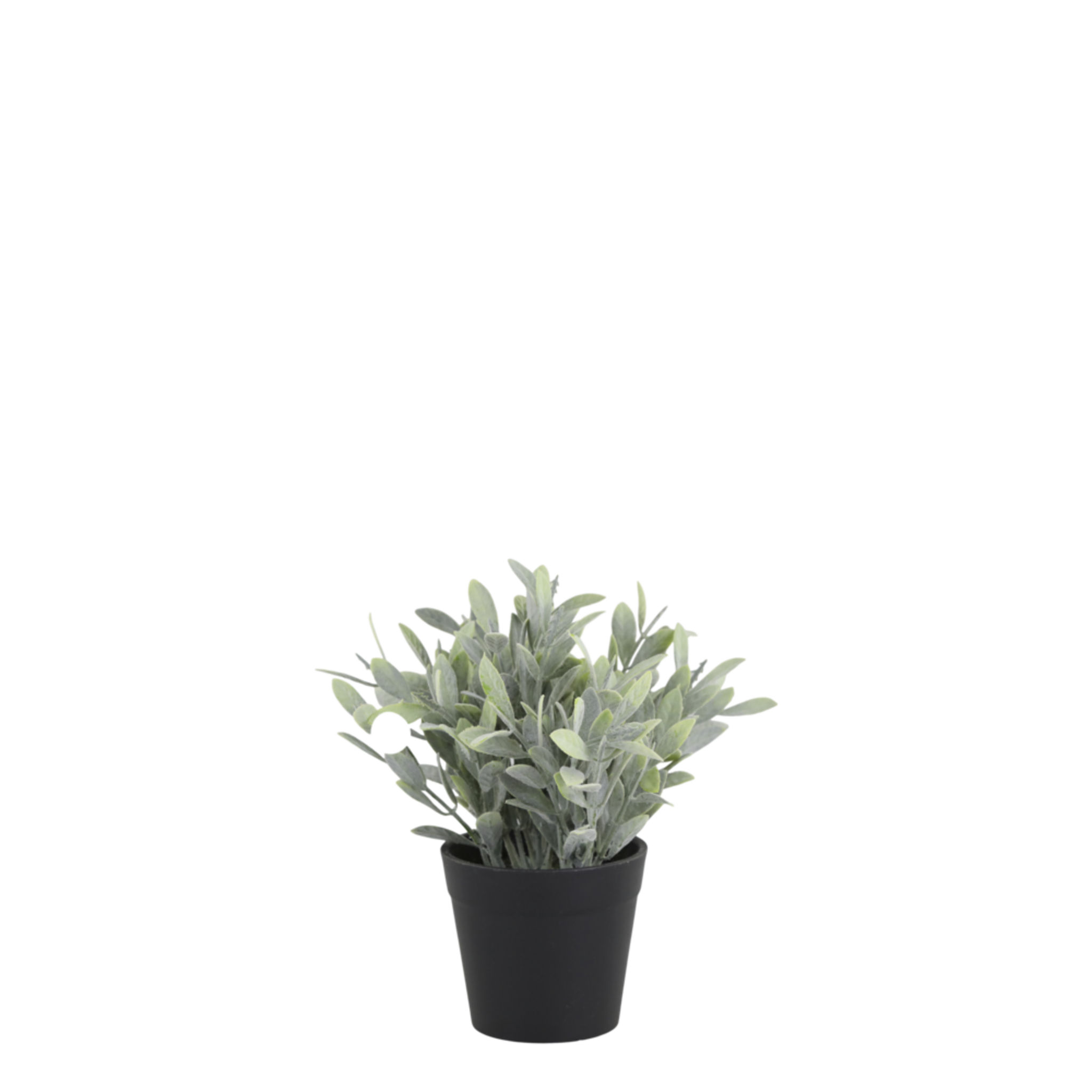 Fleur künstliche Pflanze Jojoba, grün 
