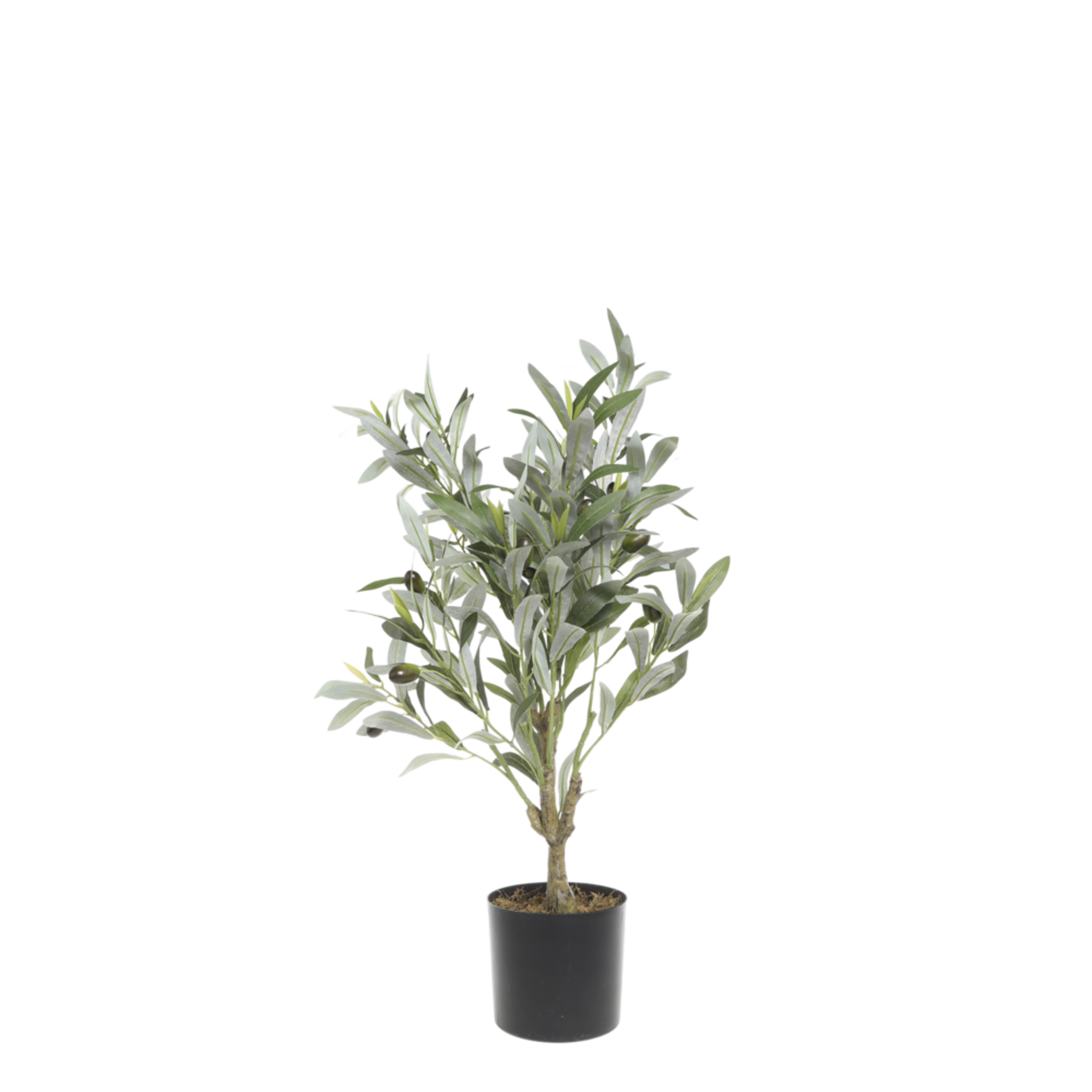 Künstlicher Olivenbaum Fleur , grün Höhe 73, Ø 12 cm