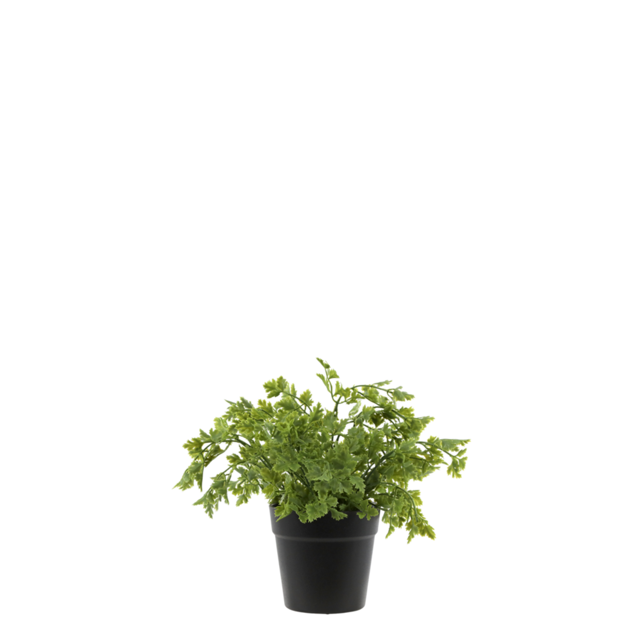 Fleur künstliche Petersilie, grün 
