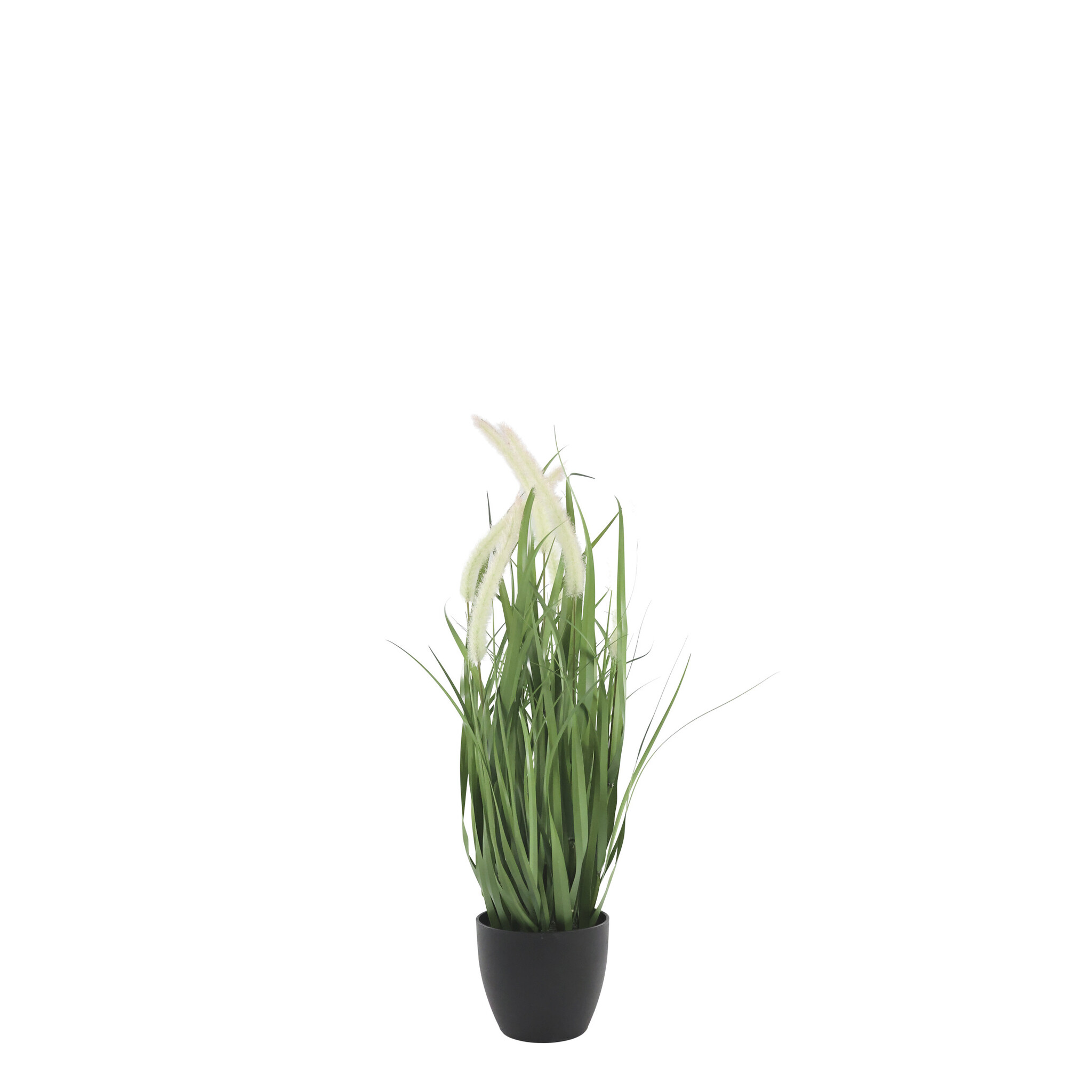 Fleur Schilfpflanze mit Fuchsschwänzen, grün 68 cm