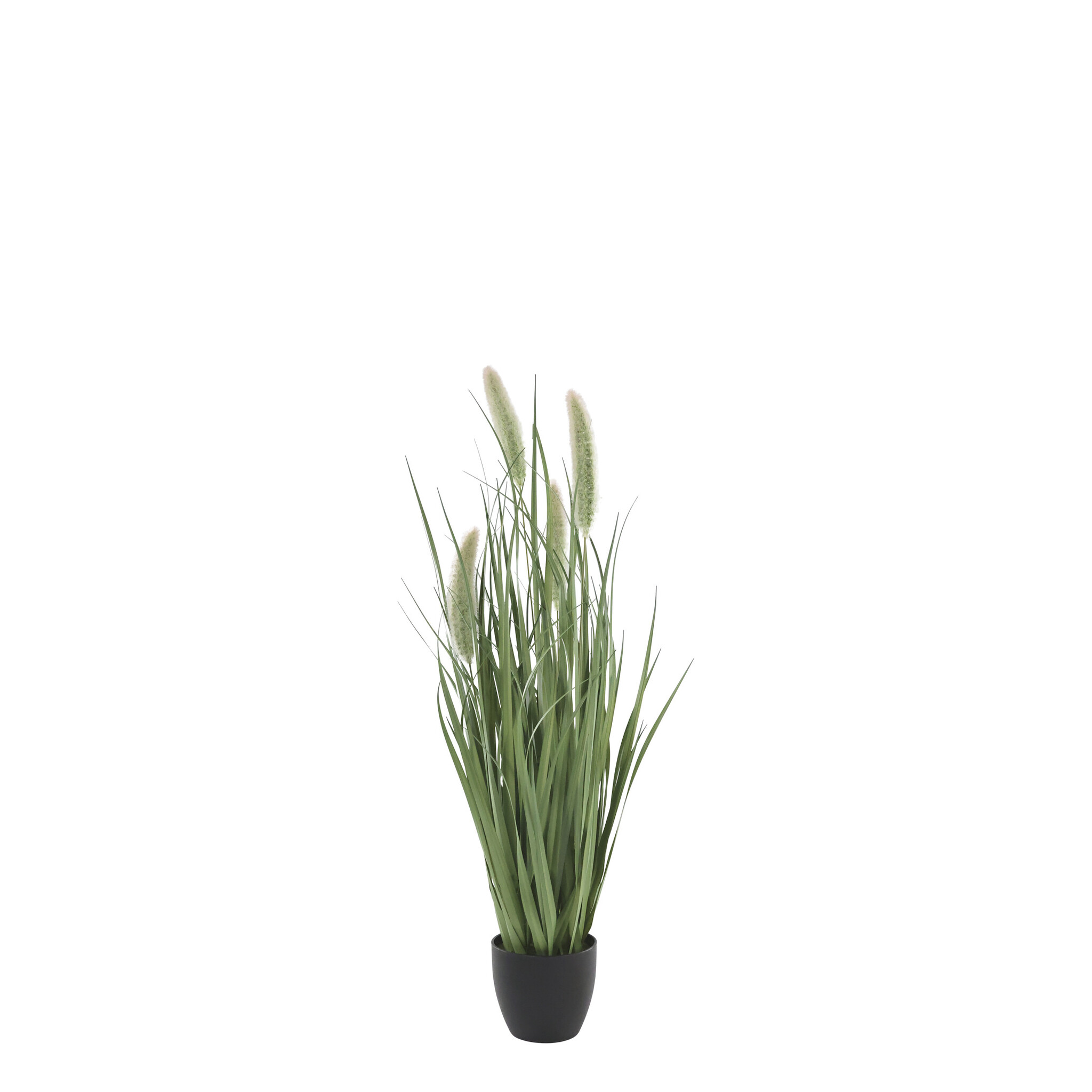 Fleur Schilfpflanze mit Fuchsschwänzen, grün 90 cm