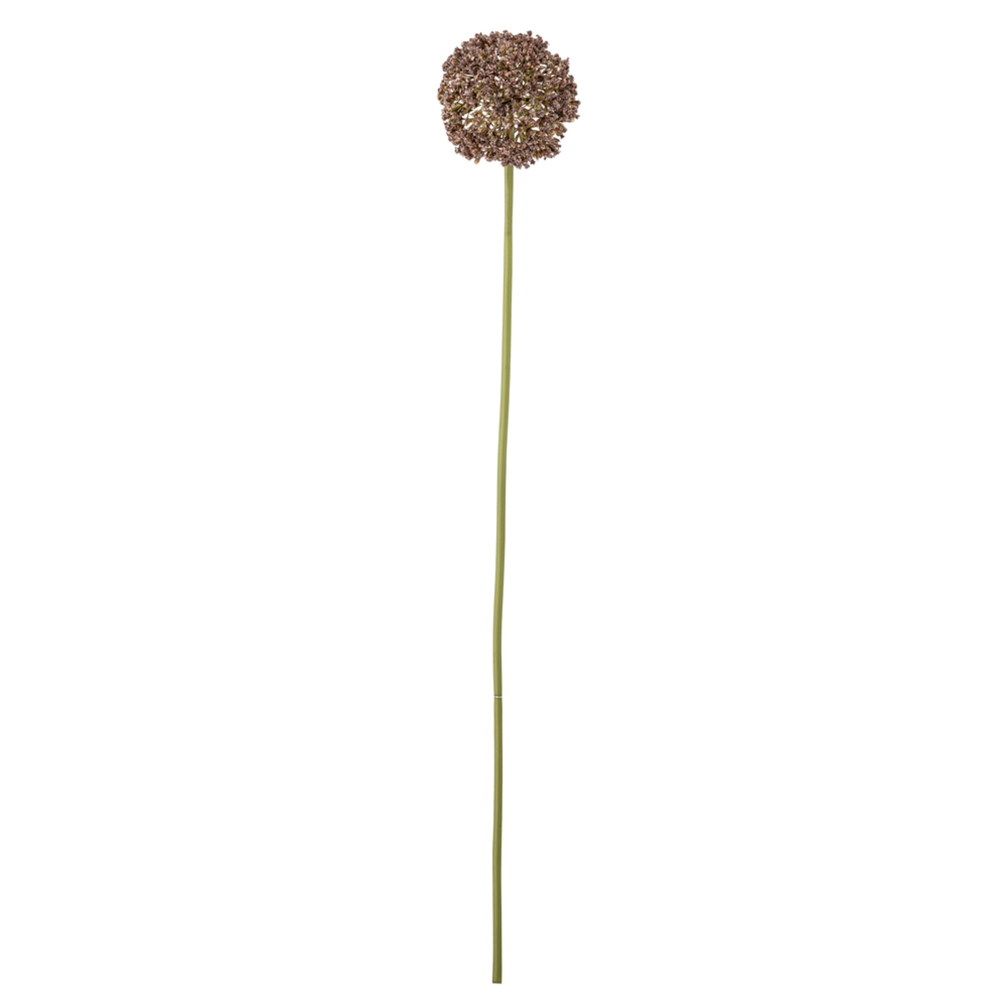 Allium Stiel, Braun, Künstliche Blume, braun 