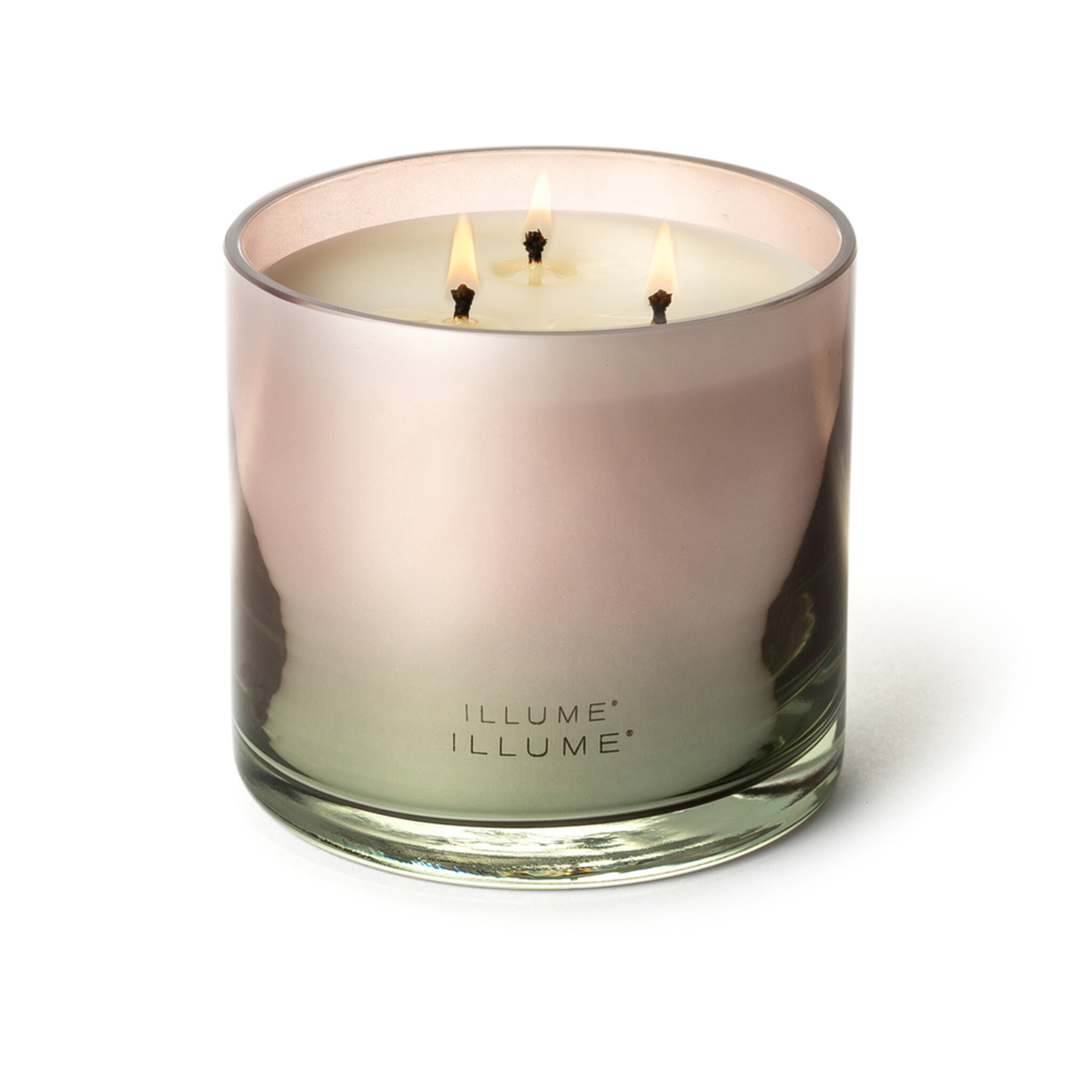 ILLUME Duftkerze XL Statement Glas, rose 