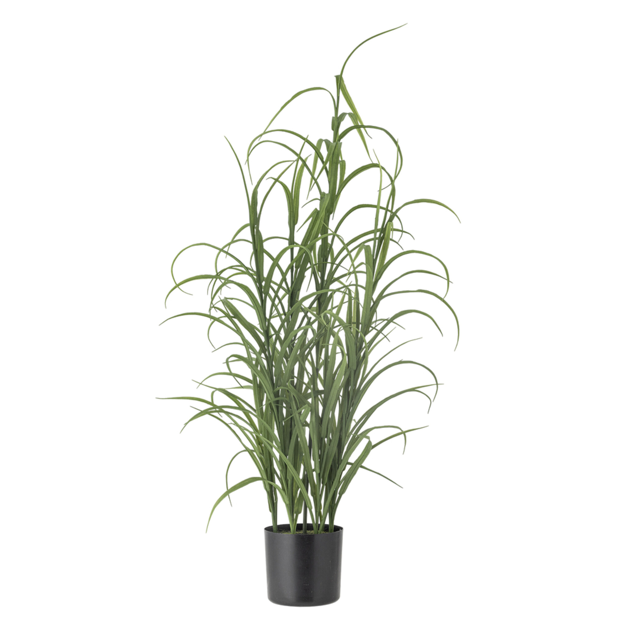 Künstliche Gras Pflanze, Grün | Bloomingville