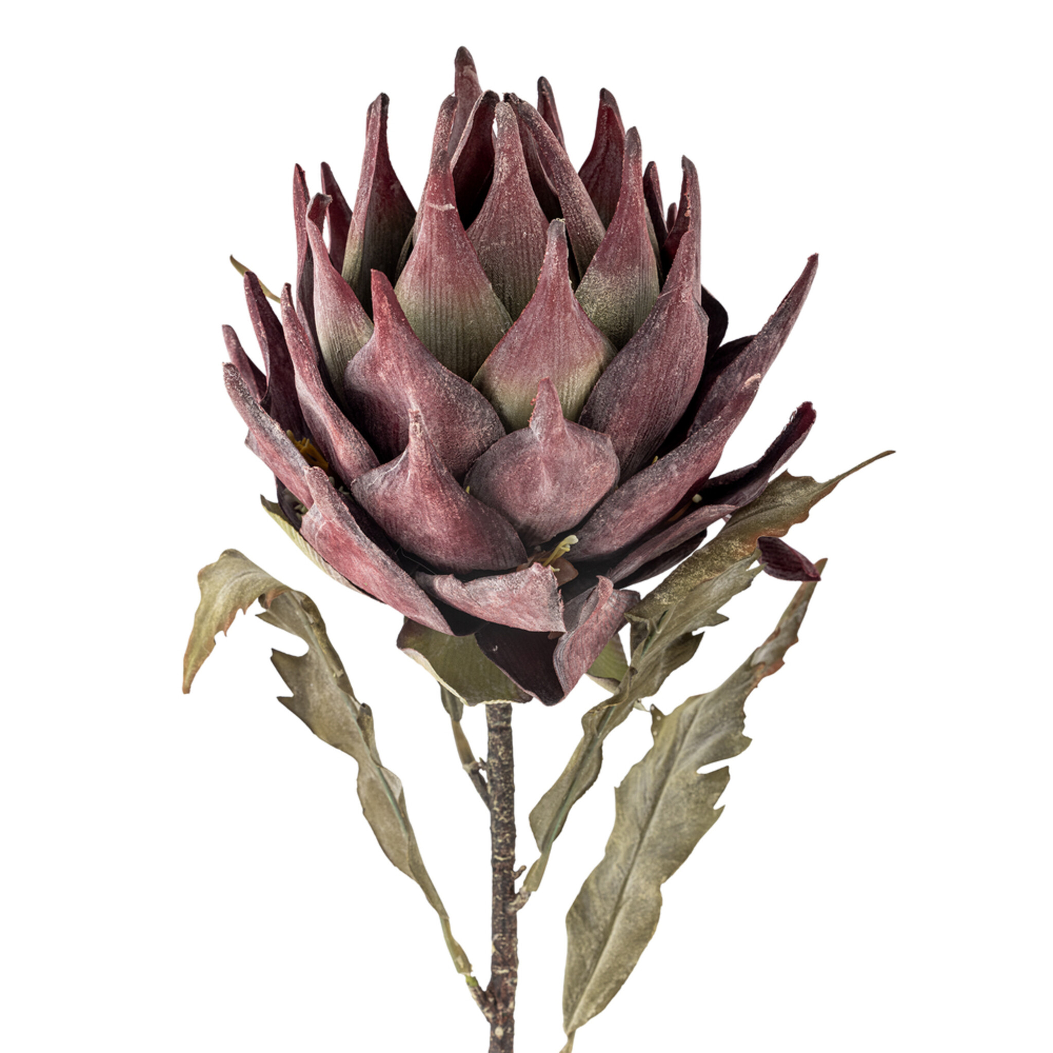 Kunstblume Protea Stiel, Violett, purple 