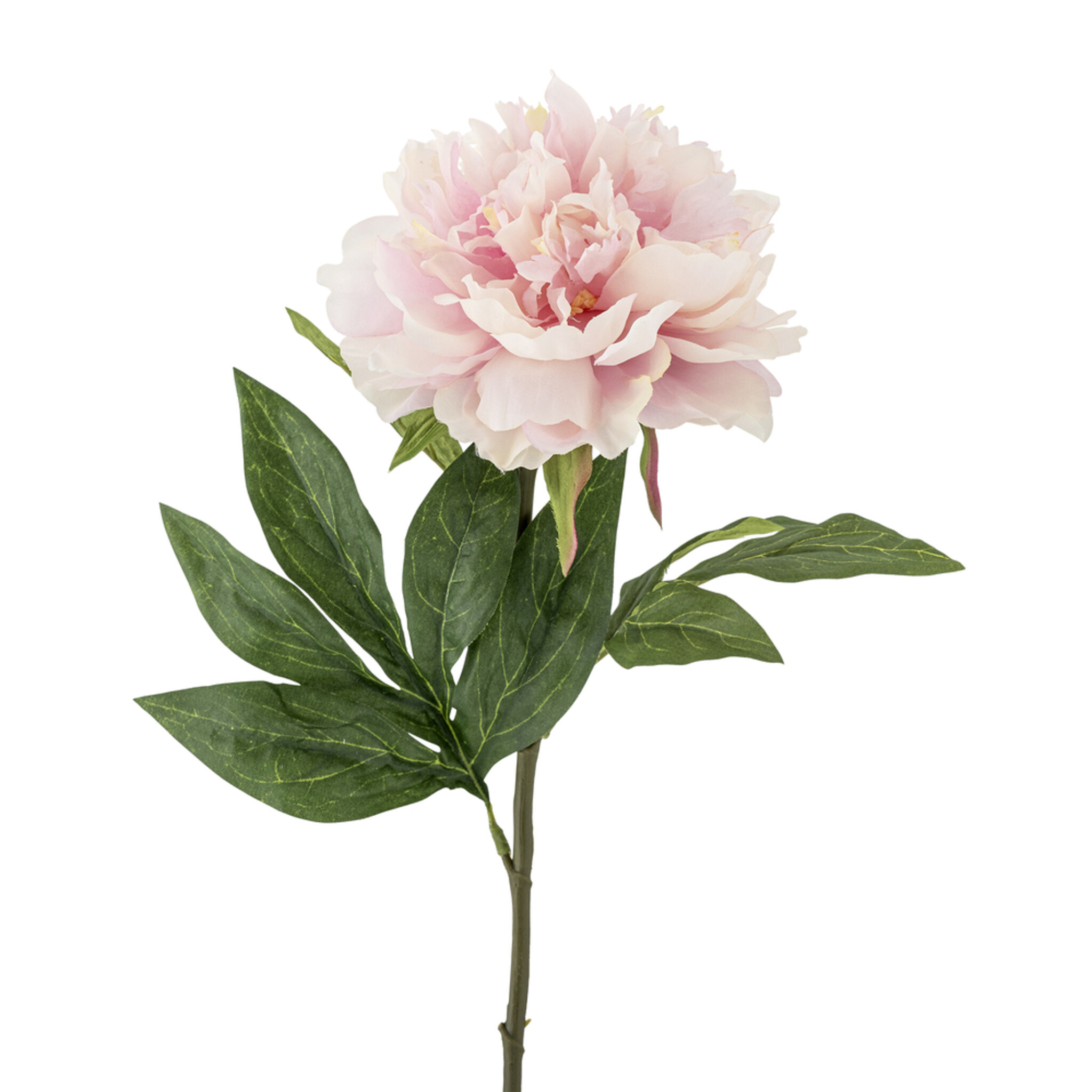 Peony Stiel, Rose, Künstliche Blume, rose 