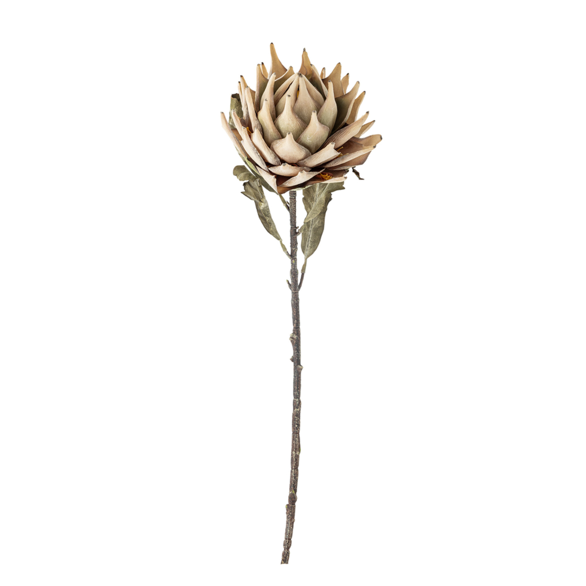 Protea Stiel, Künstliche Blume, natur 