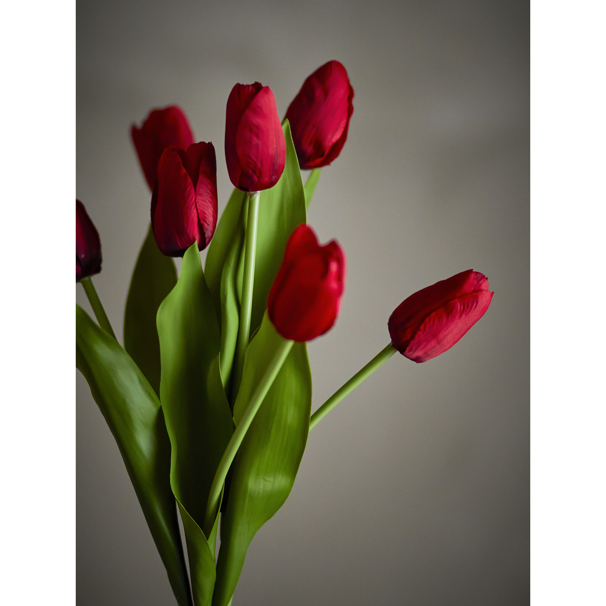 Künstlicher Tulpenstrauß Tulip in Weiß, rot 