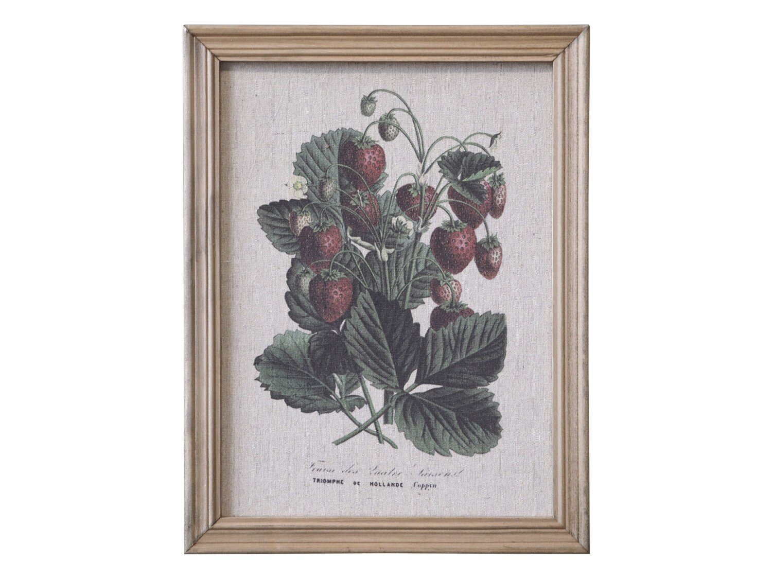 Bild mit Erdbeeren Motiv und Naturrahmen, natur 