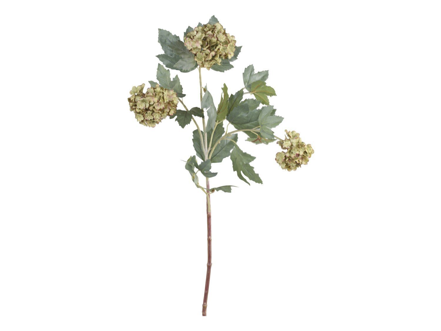 Fleur Duftschneebälle, staubig grün 