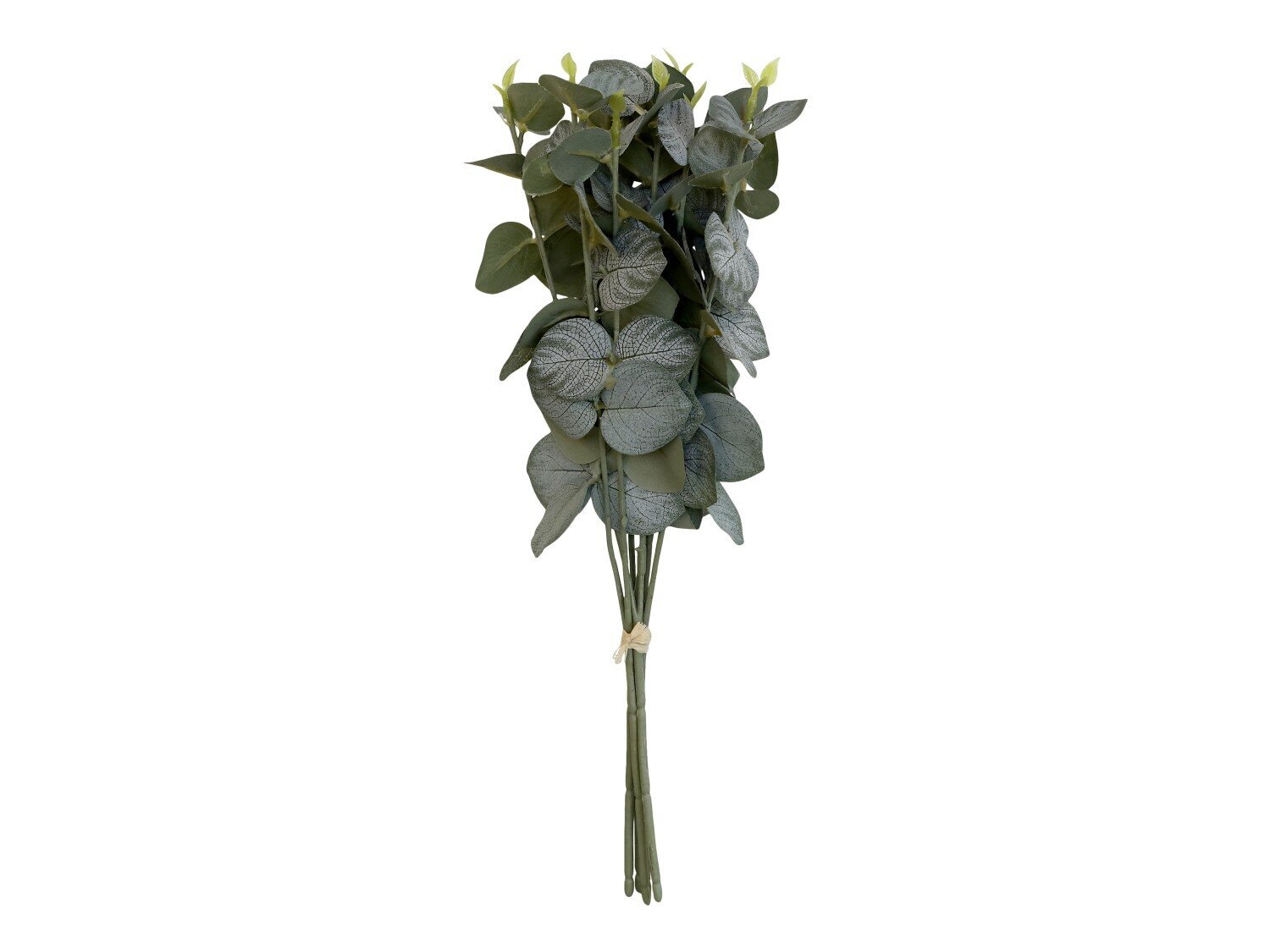 Fleur Eukalyptus Strauss, grün 