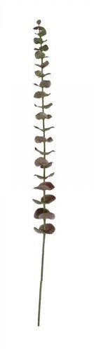 Chic Antique Fleur Eukalyptusblätter, bordeaux H65 cm