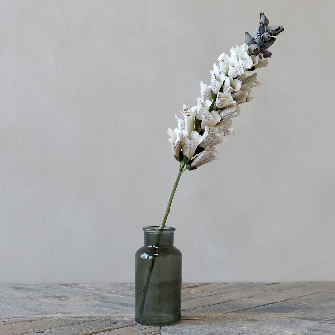 Fleur Fingerhut, weiss 