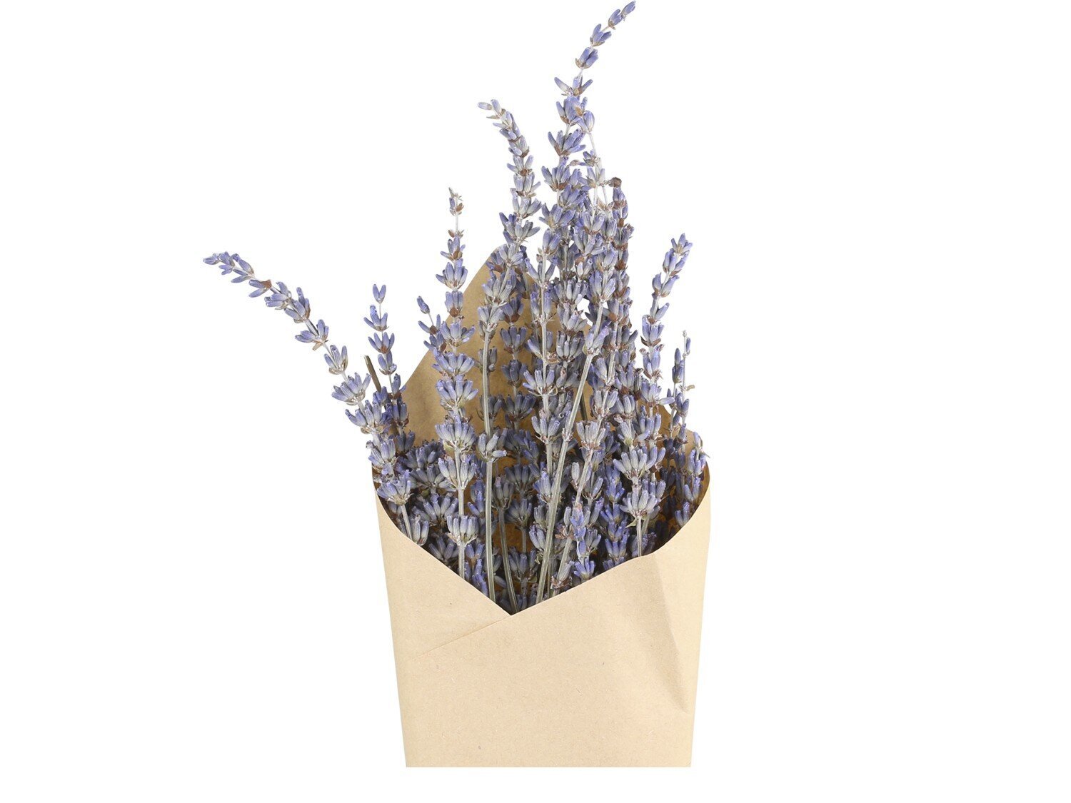 Fleur getrocknete Lavendel Blumen, lavendel 