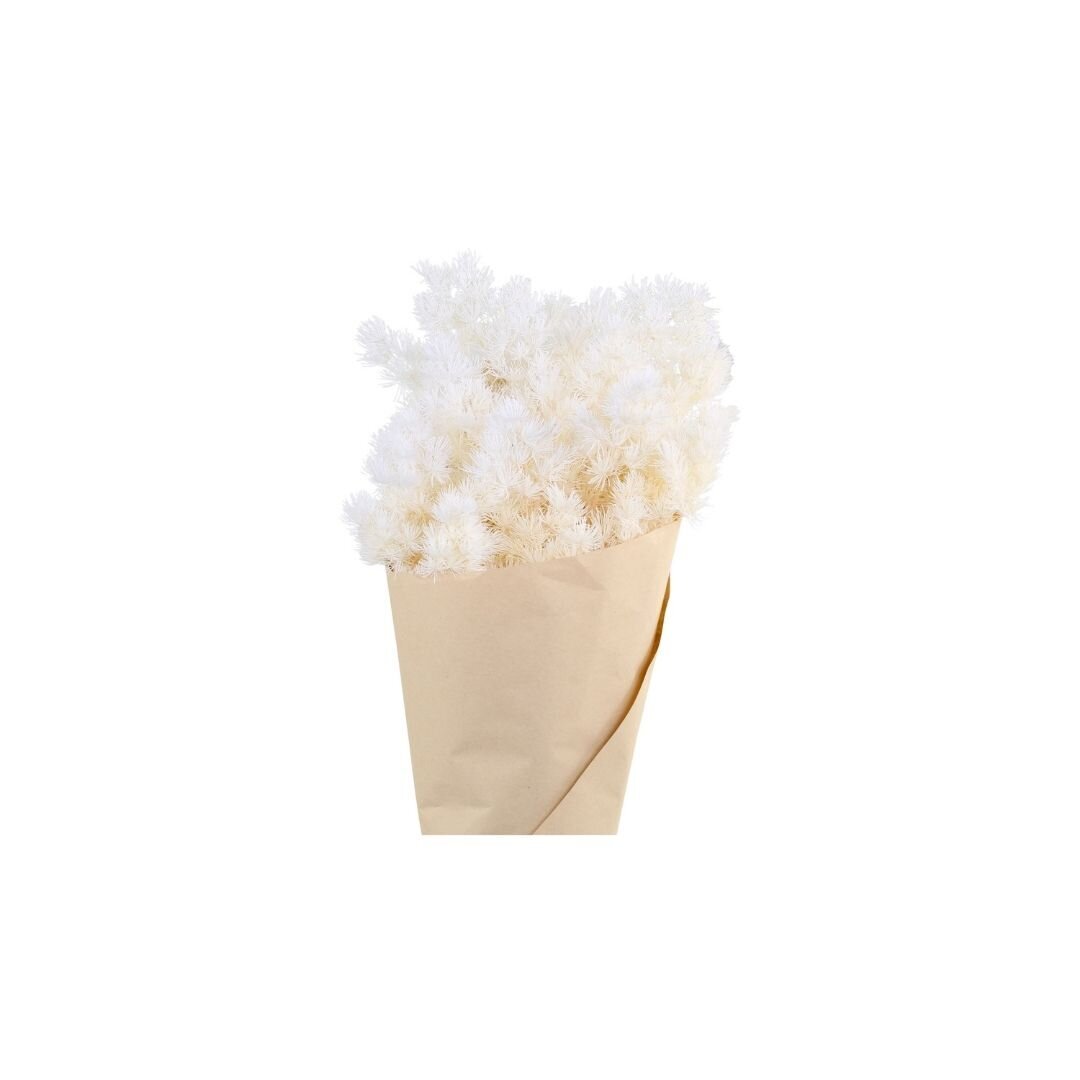 Fleur getrocknete Schleierspargel, creme 