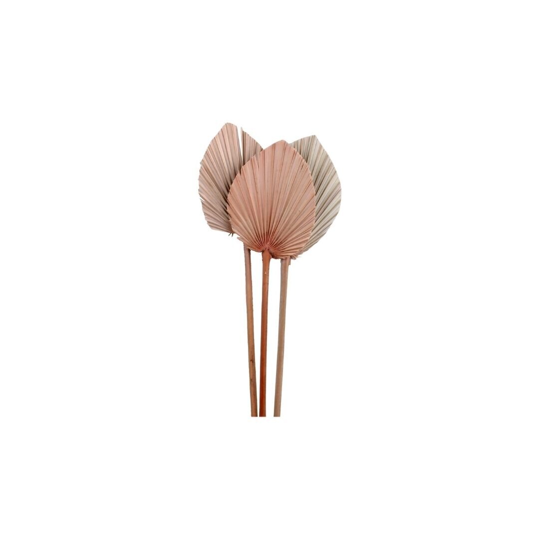 Fleur getrocknetes Palmenblatt, natur 
