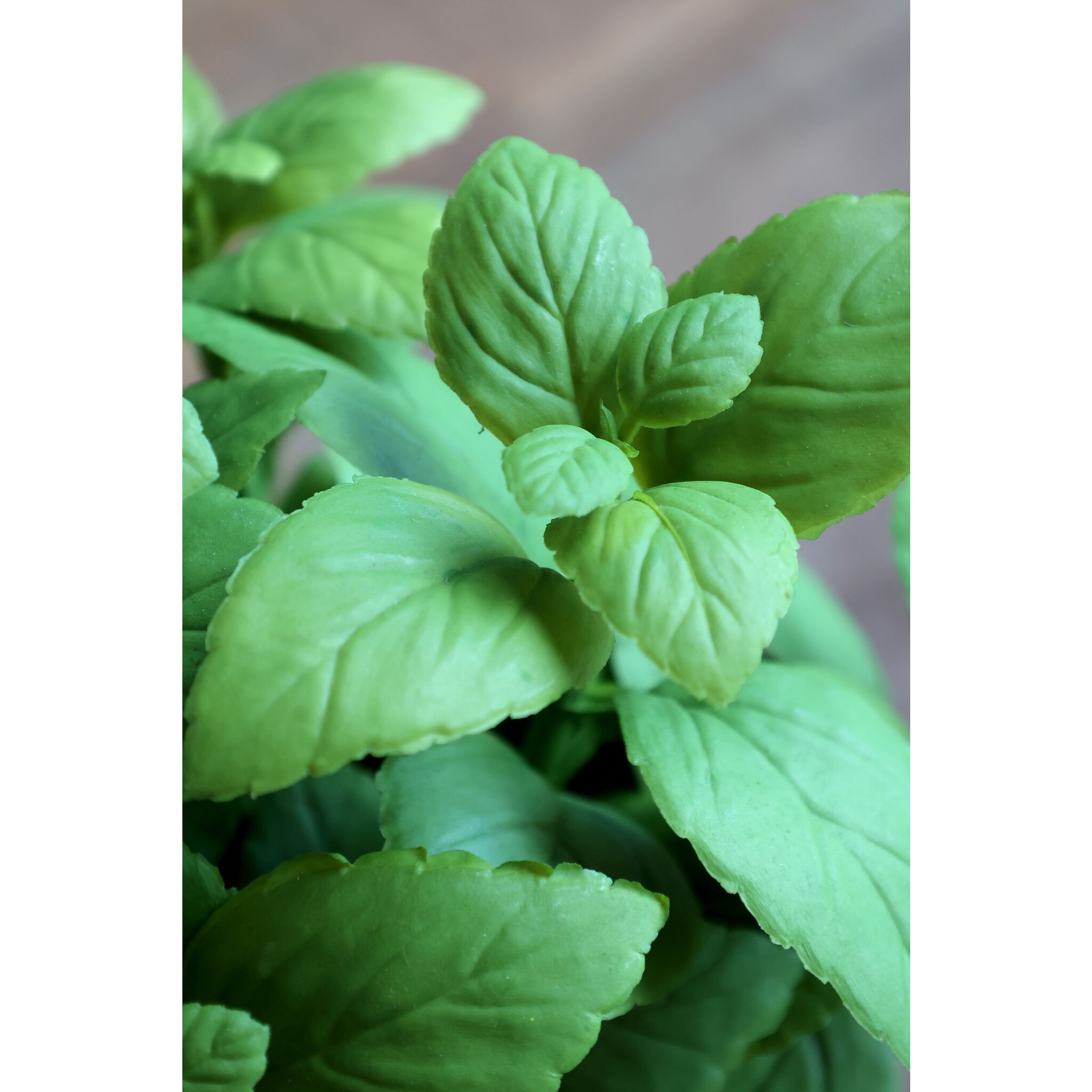 Fleur künstliche Minze, grün 