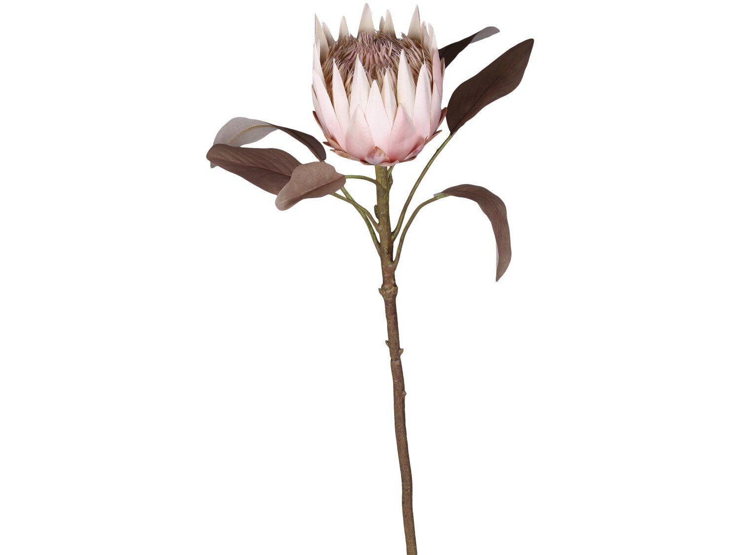 Fleur Kunstblume Protea, altrosa 