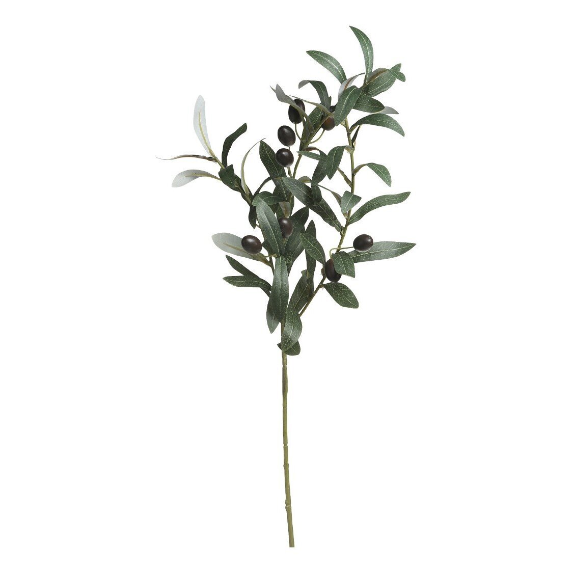 Fleur Olivenzweig, natur 