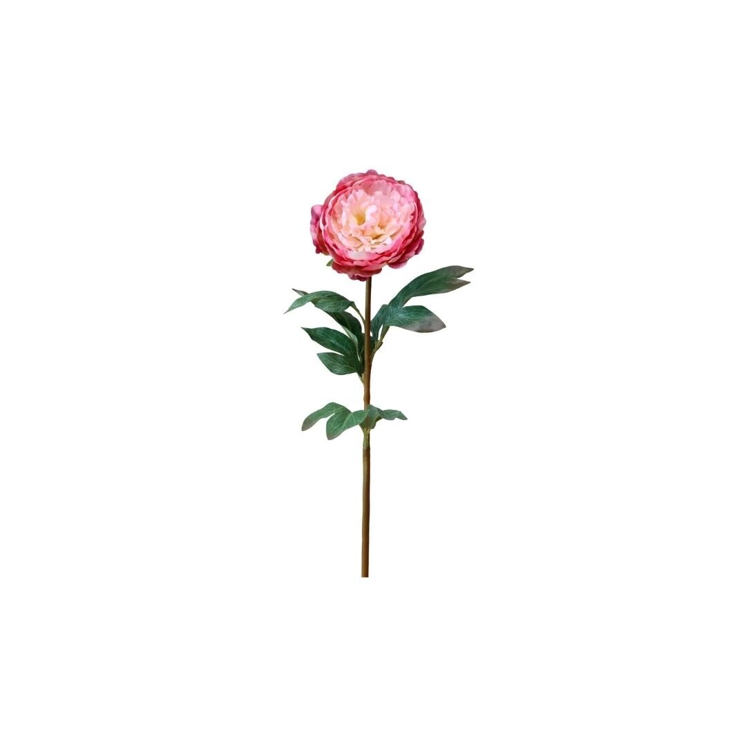 Fleur Pfingstrose, rosa 
