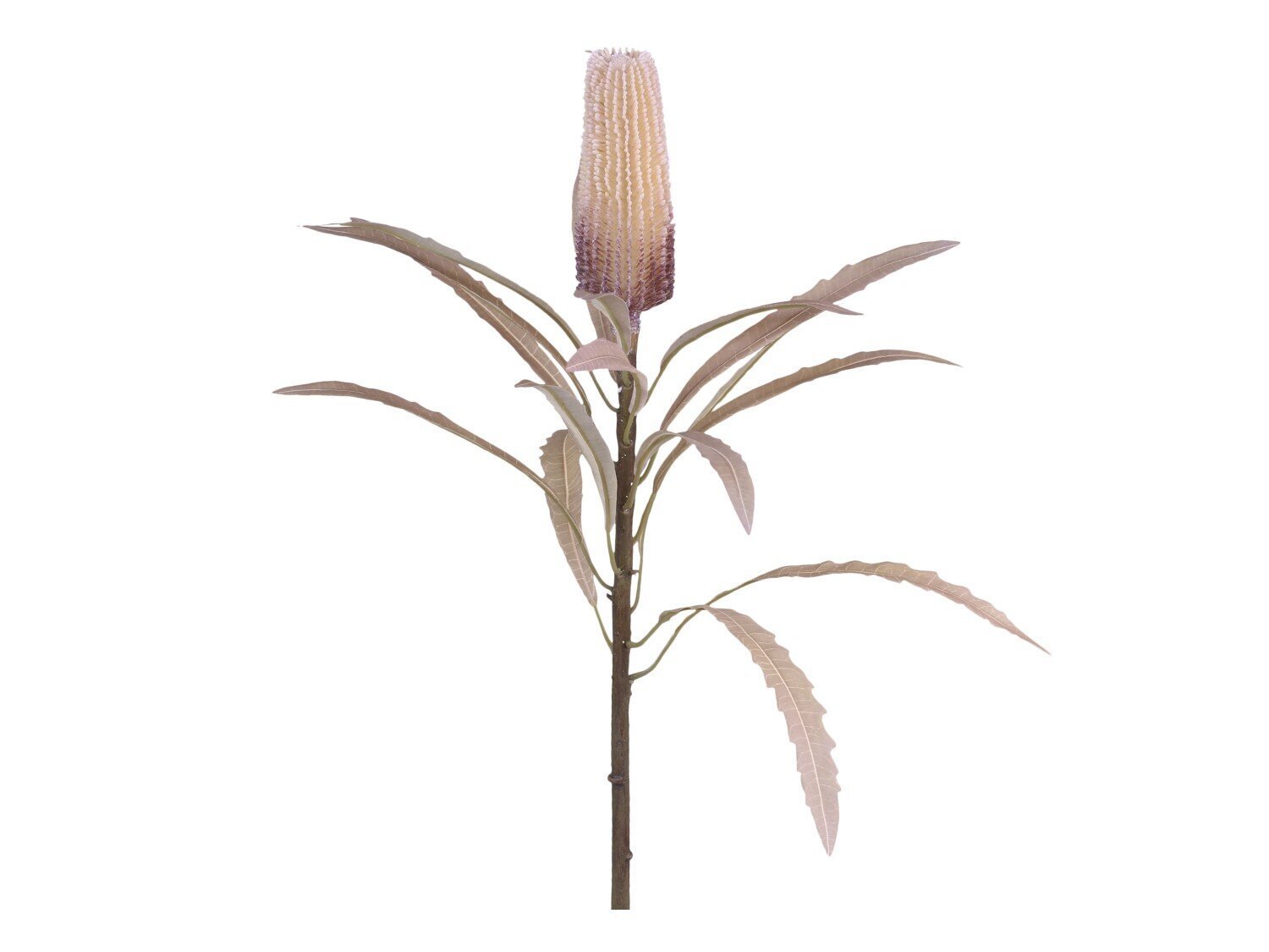 Fleur Künstliche Protea Kunstblume, creme 