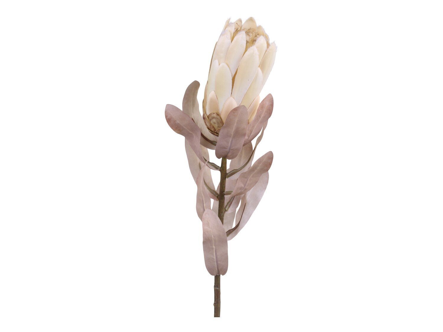 Fleur Protea Kunstblume, creme 