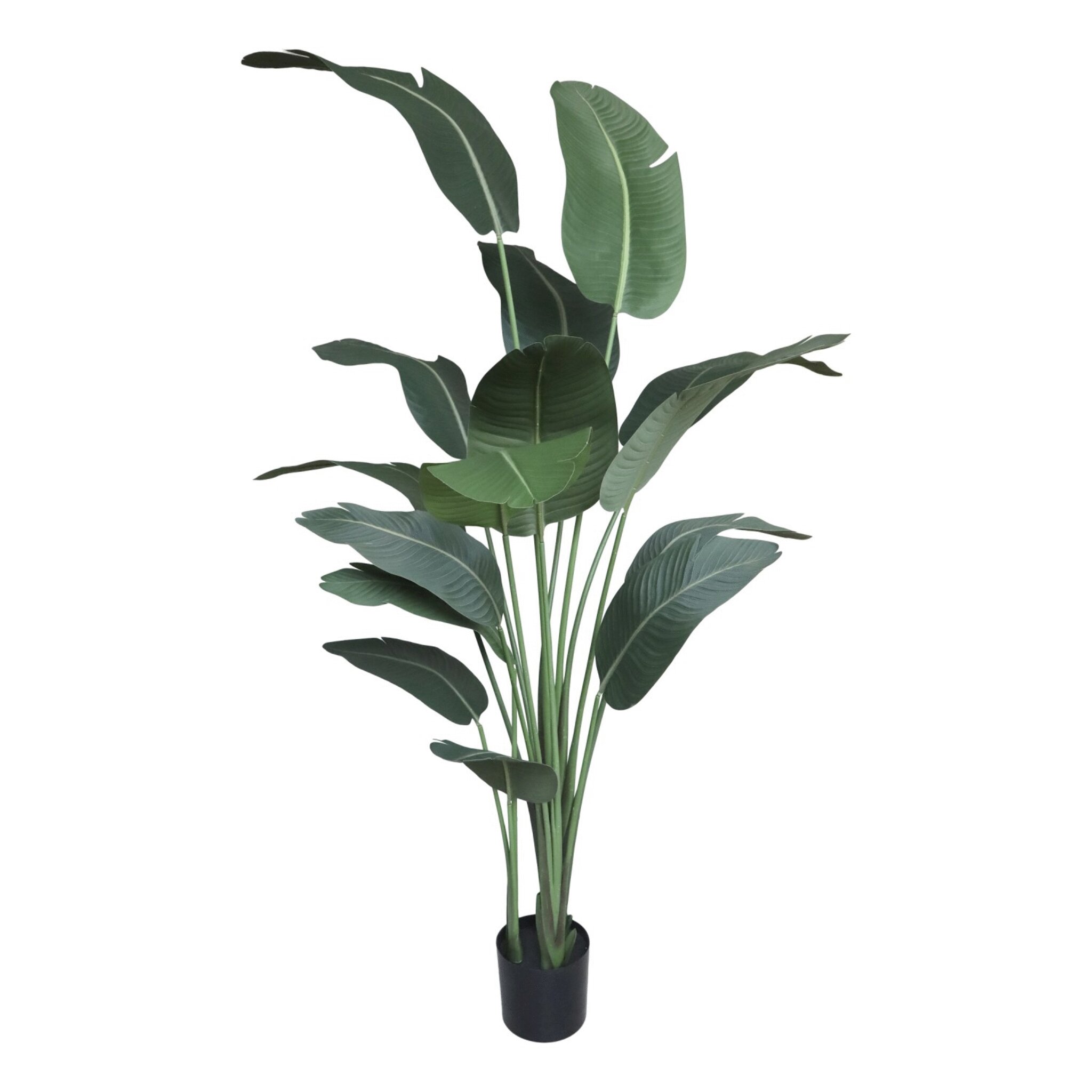 Fleur Strelitzie Kunstpflanze, grün 