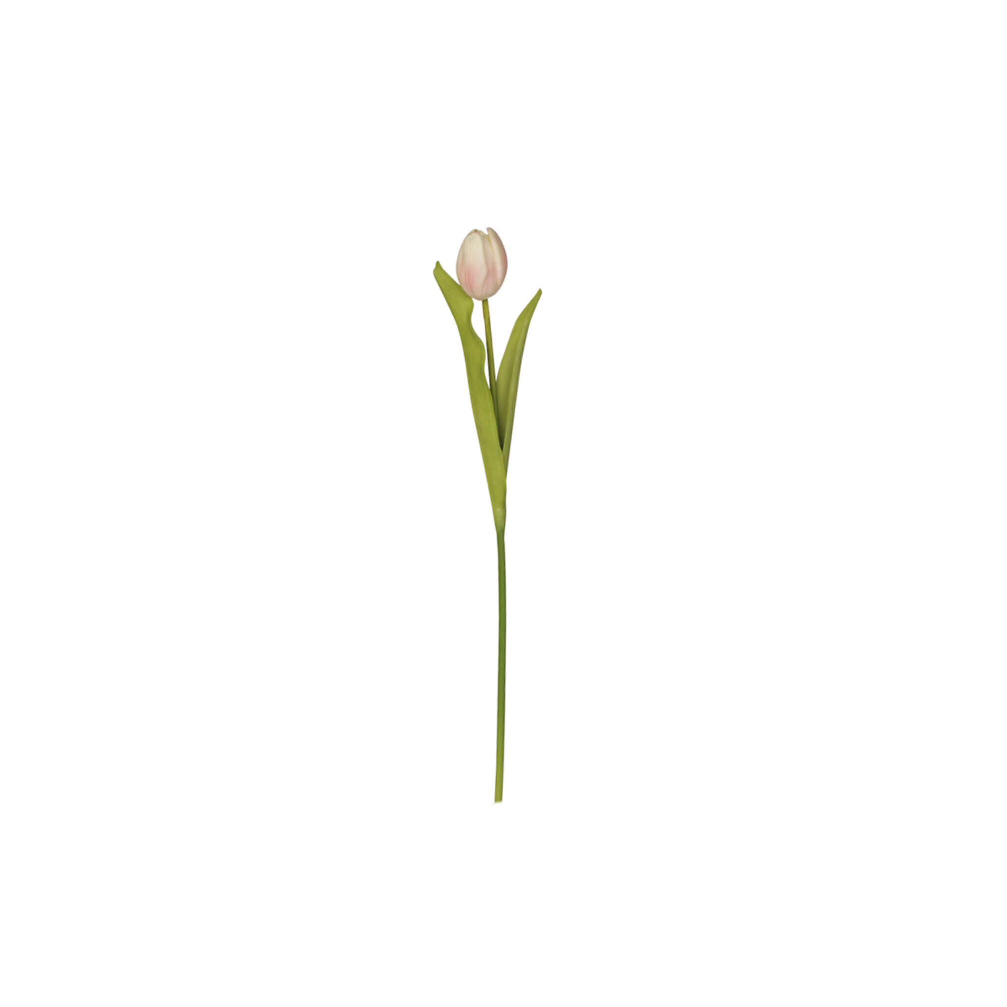 Chic Antique Fleur Tulpe, Kunstblume, powder 