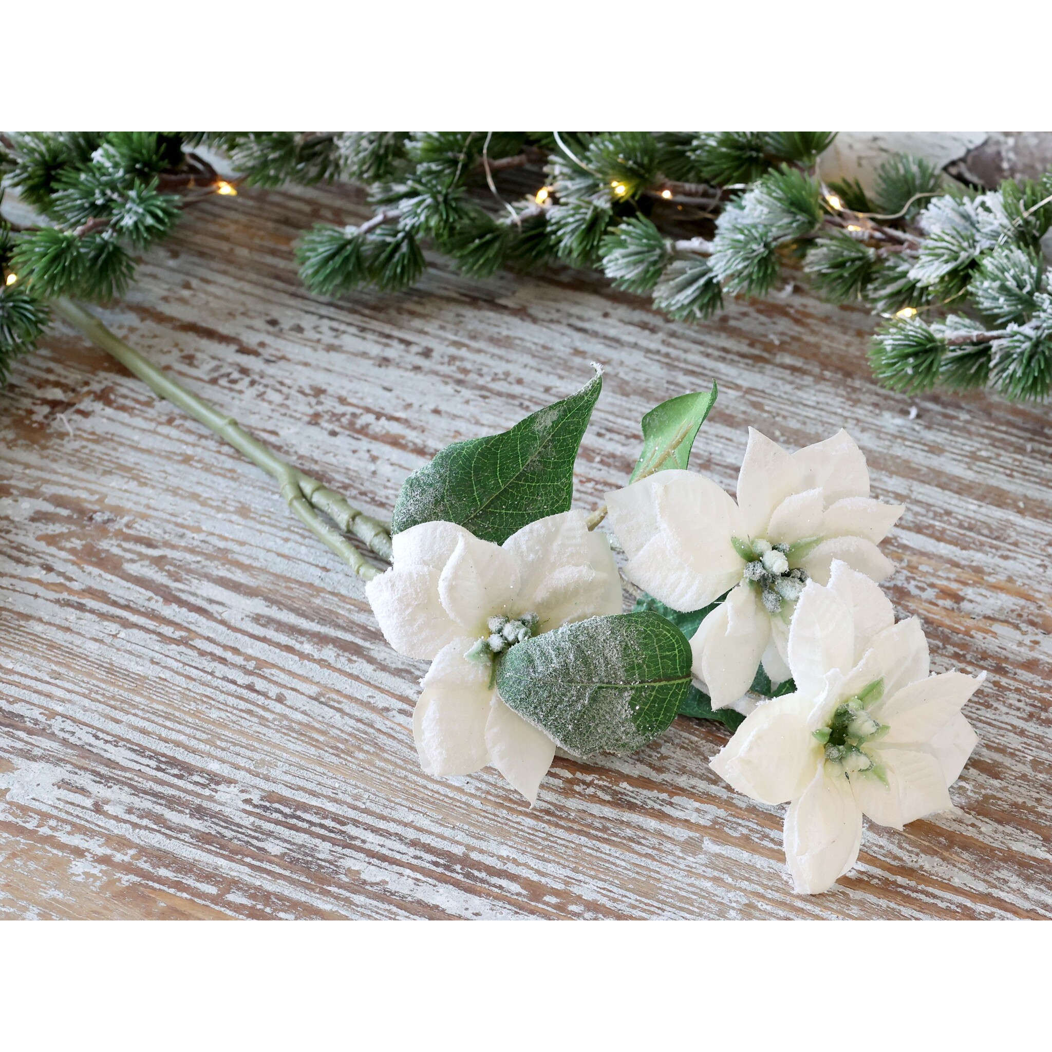 Fleur Weihnachtsstern mit Schnee und Glitzer, creme 