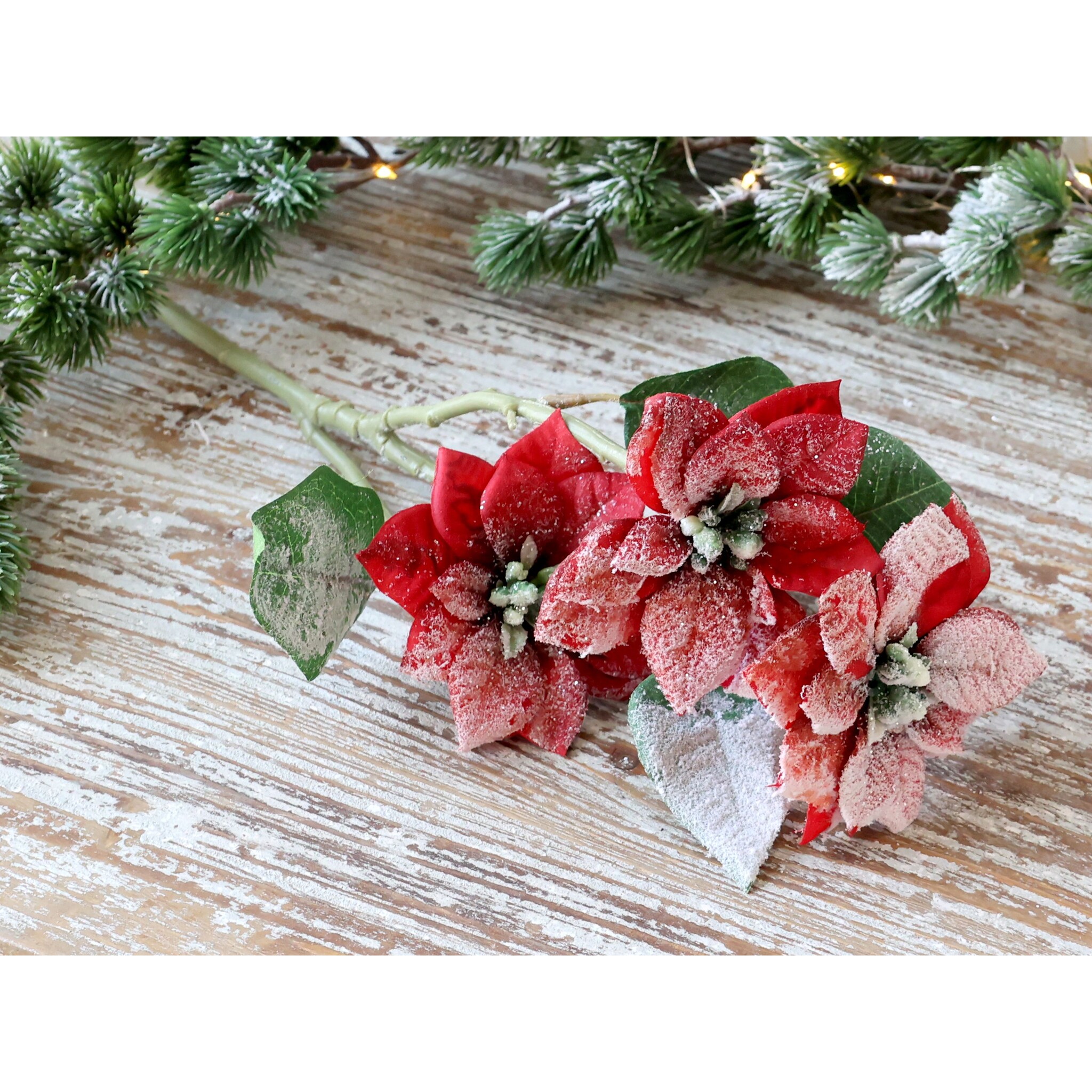 Fleur Weihnachtsstern mit Schnee und Glitzer, antique cherry 