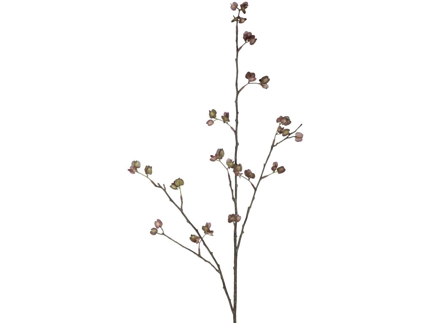 Fleur Zweig mit altrosa Samenkapsel, altrosa 