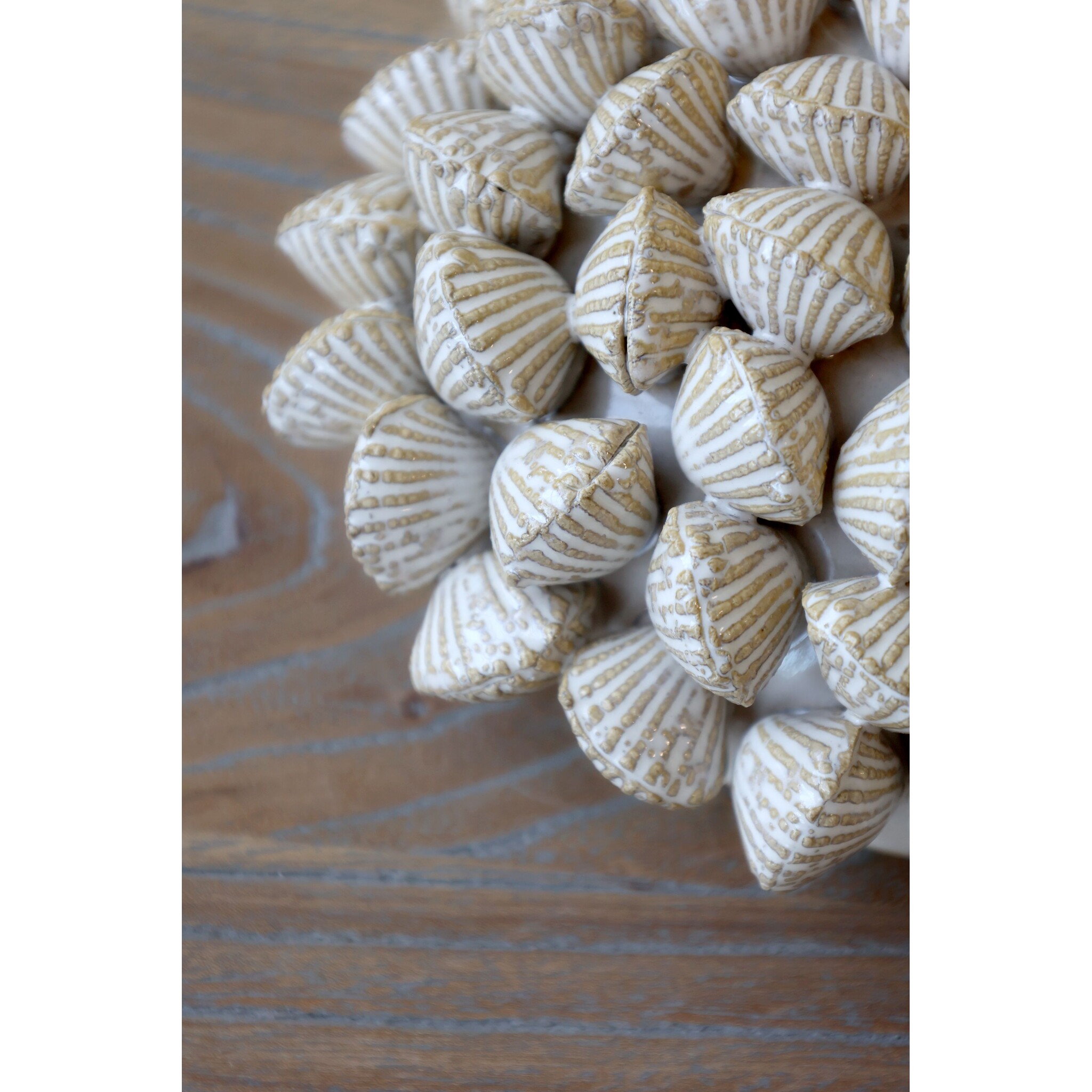 Koralle mit Muscheln für Deko, creme 