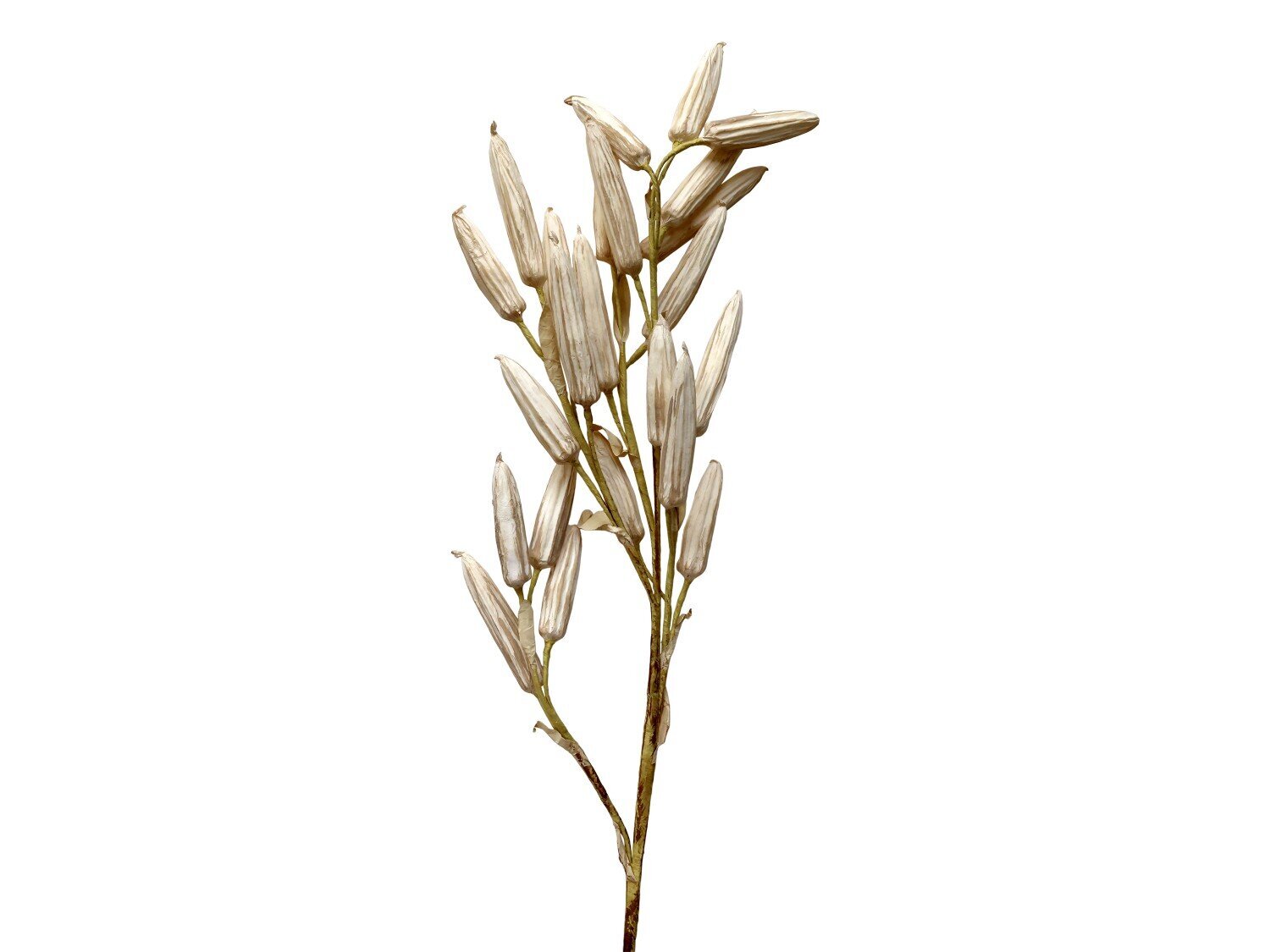 Künstlicher Lilien Zweig, creme 