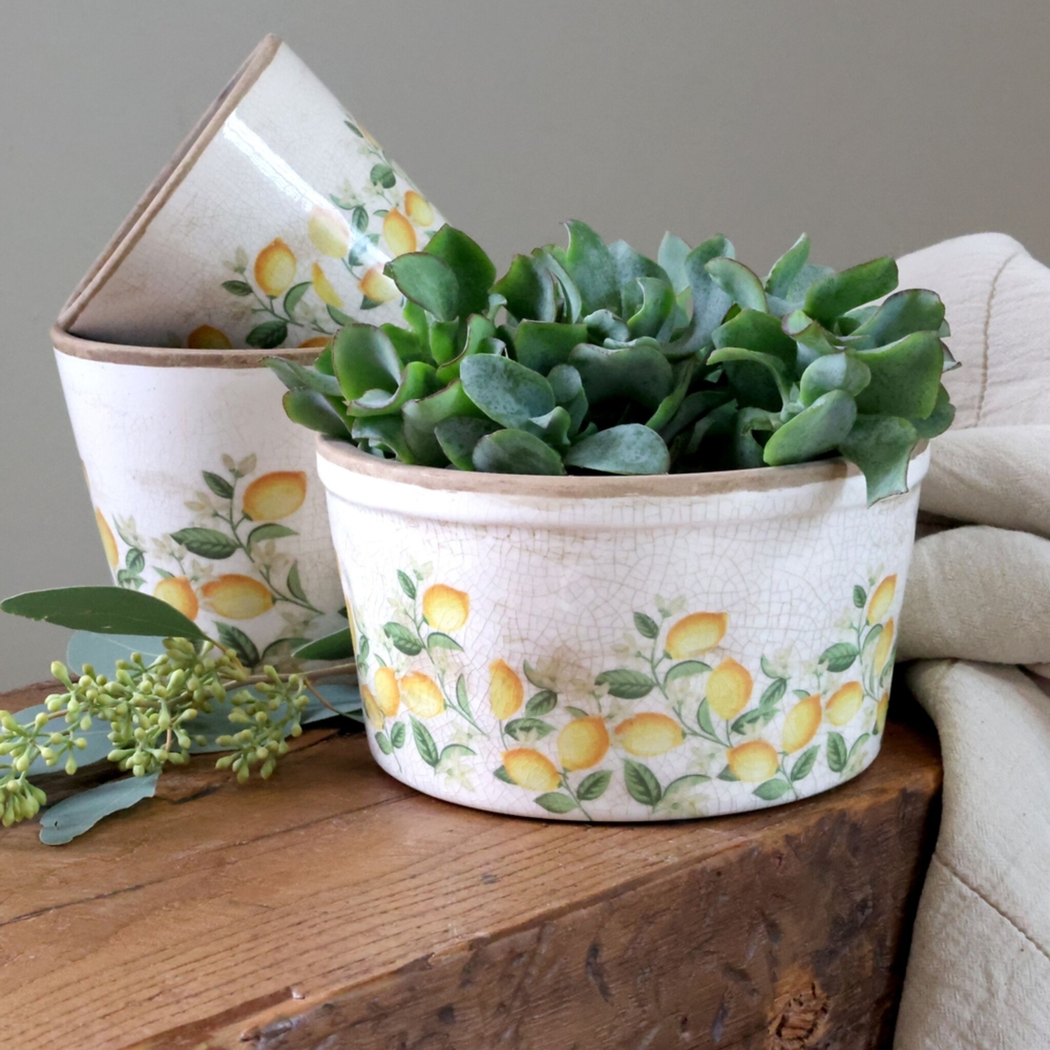 Chic Antique Pflanztopf Limone Blossom, creme 