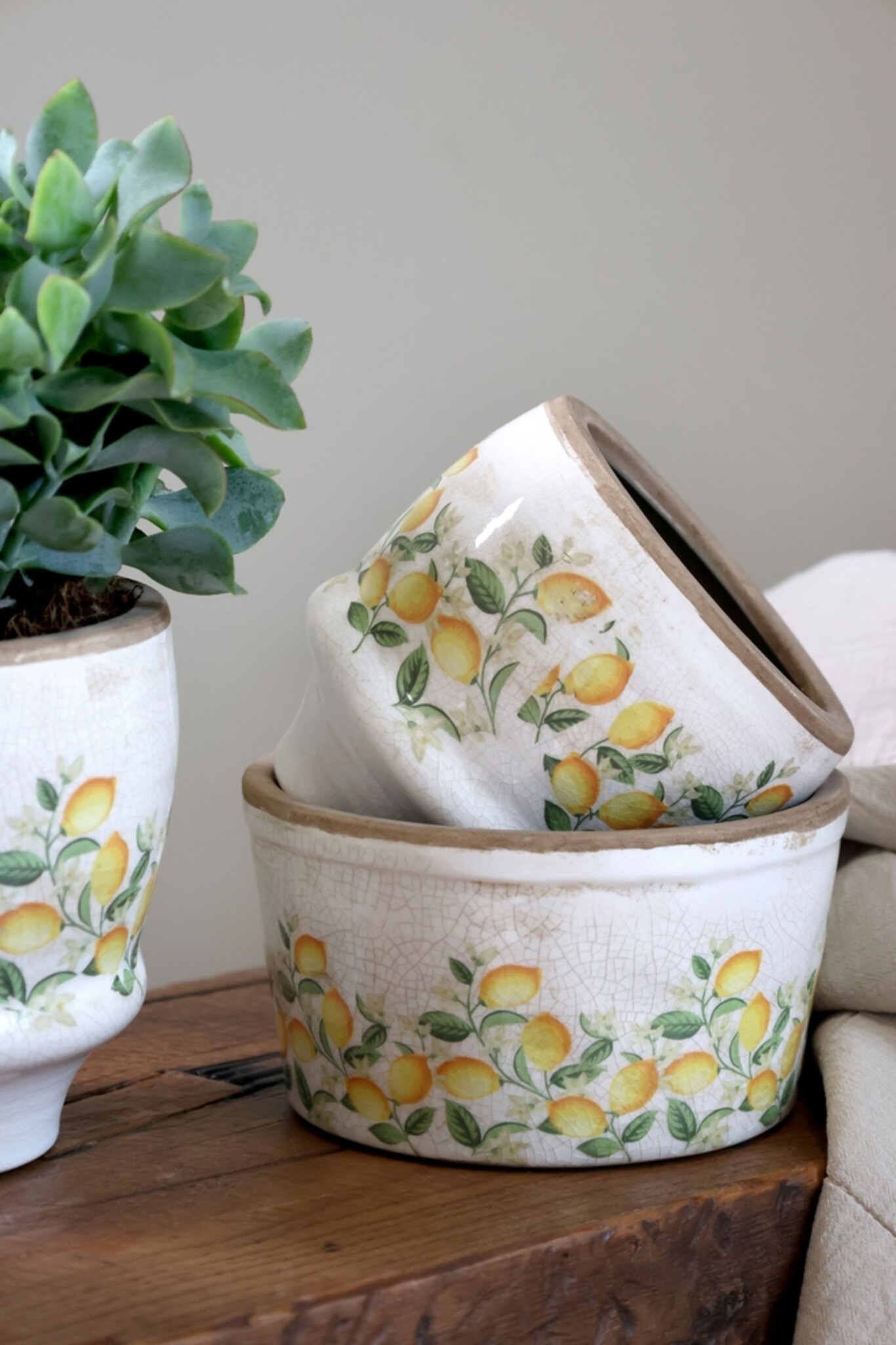 Chic Antique Pflanztopf Limone Blossom, creme 