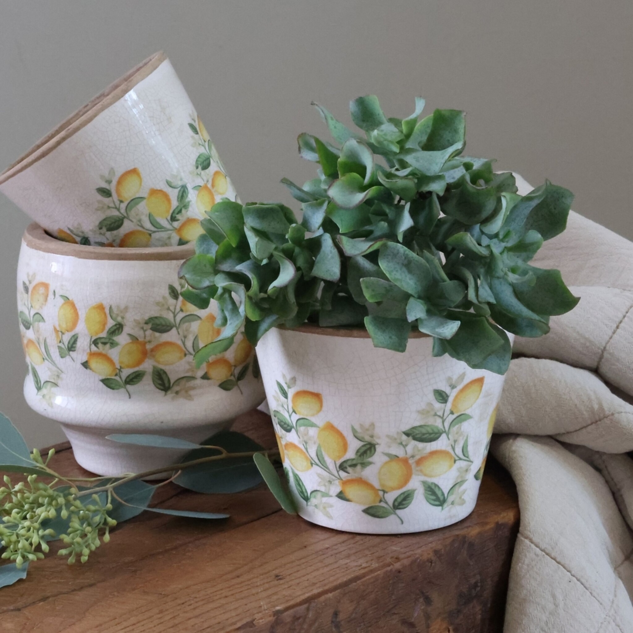 Übertopf Limone Blossom – Vintage Keramik mit Zitronenmotiv, creme 10,5 cm, Ø 13,5 cm