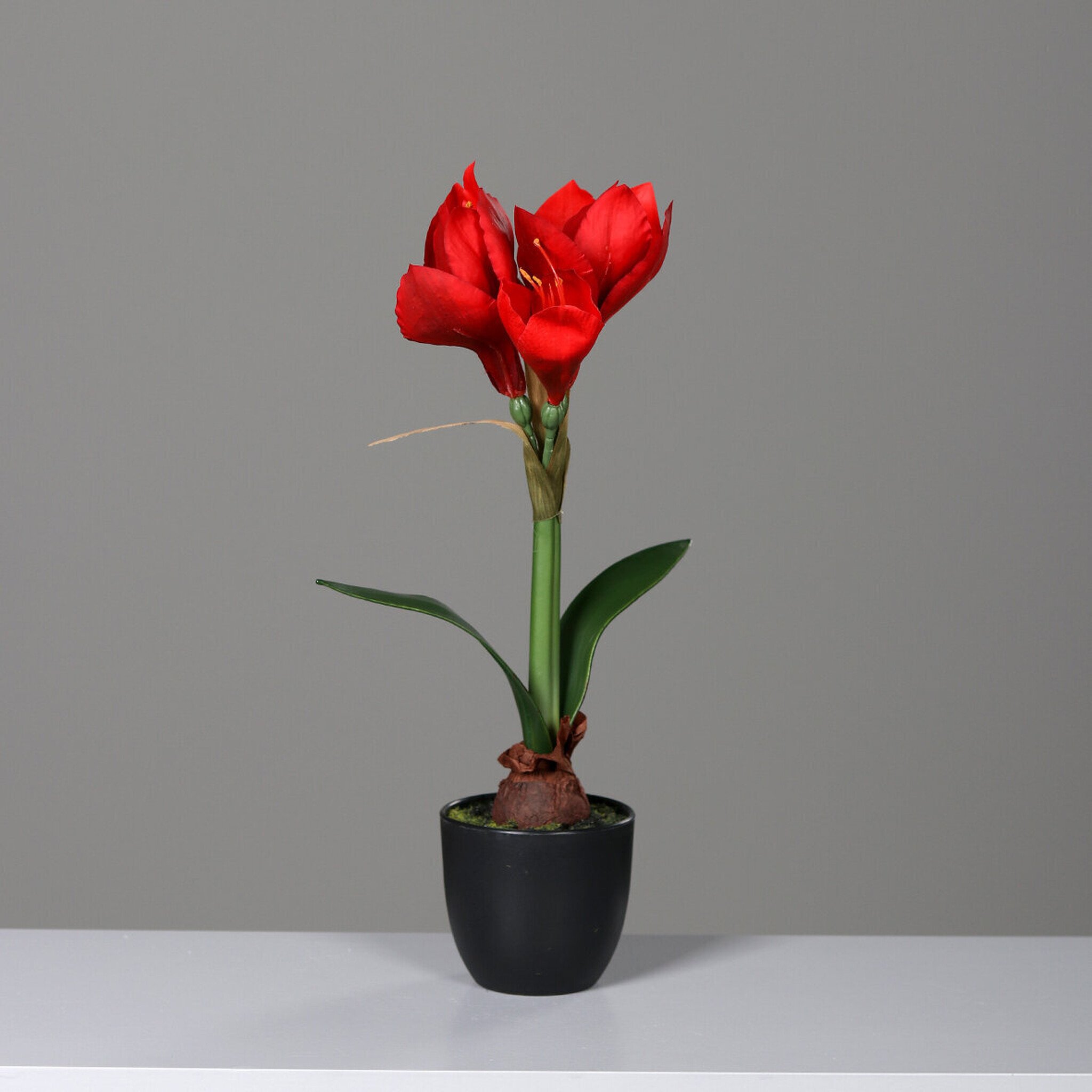 Künstliche Amaryllis im schwarzen Kunststofftopf, rot 39 cm
