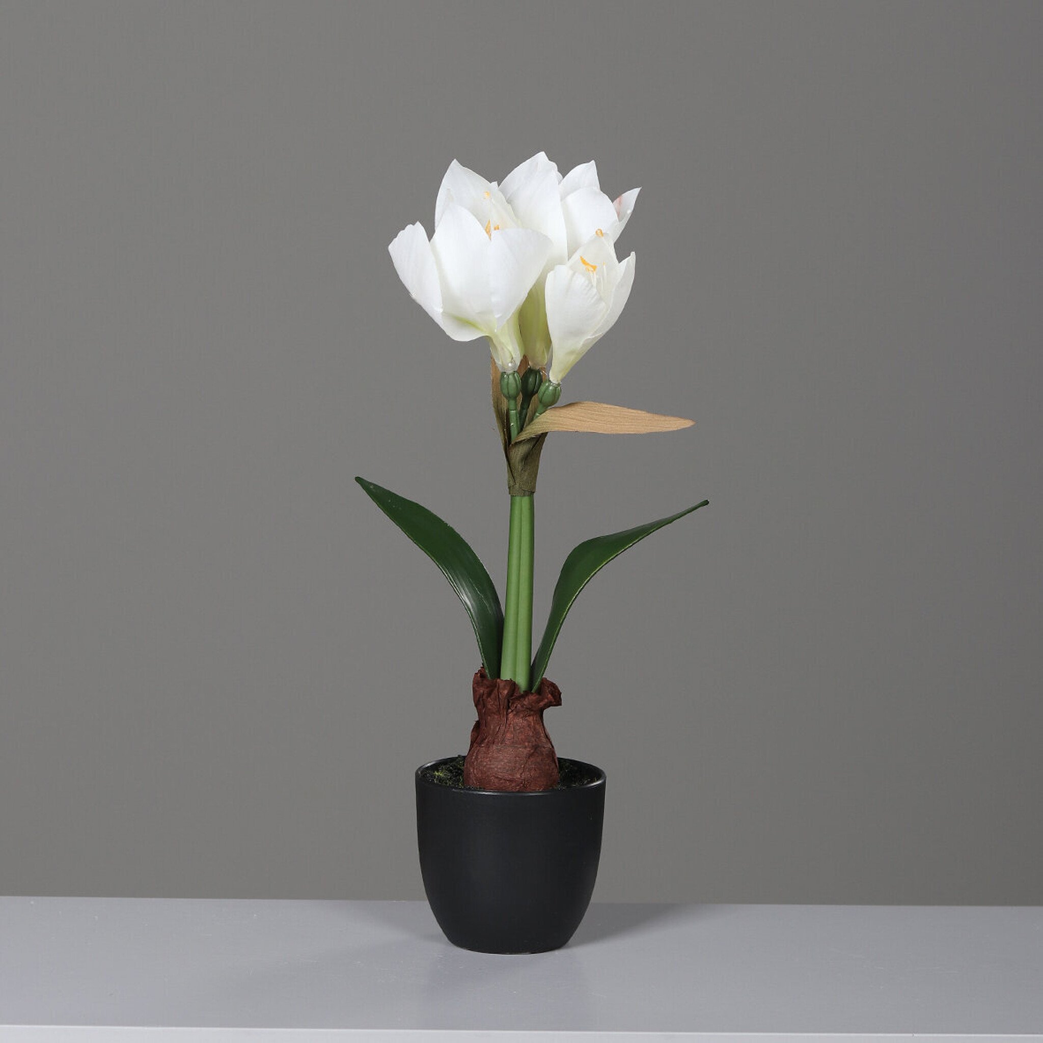 Künstliche Amaryllis im schwarzen Kunststofftopf, weiss 39 cm