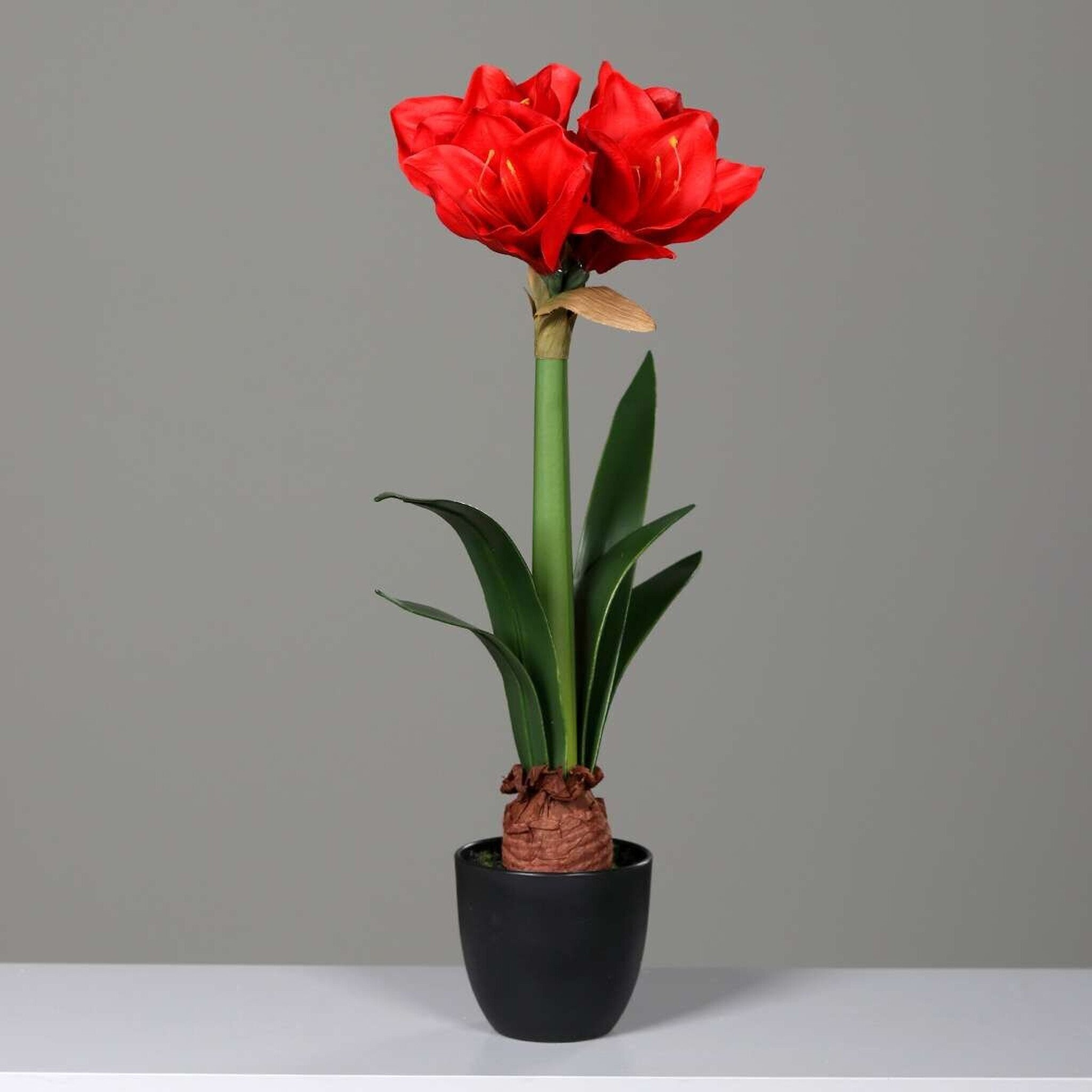 Künstliche Amaryllis im schwarzen Kunststofftopf, rot 54 cm