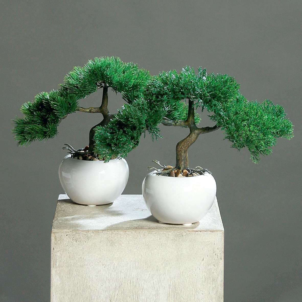 Künstlicher Bonsai im weißen Keramik Topf, grün 25 cm